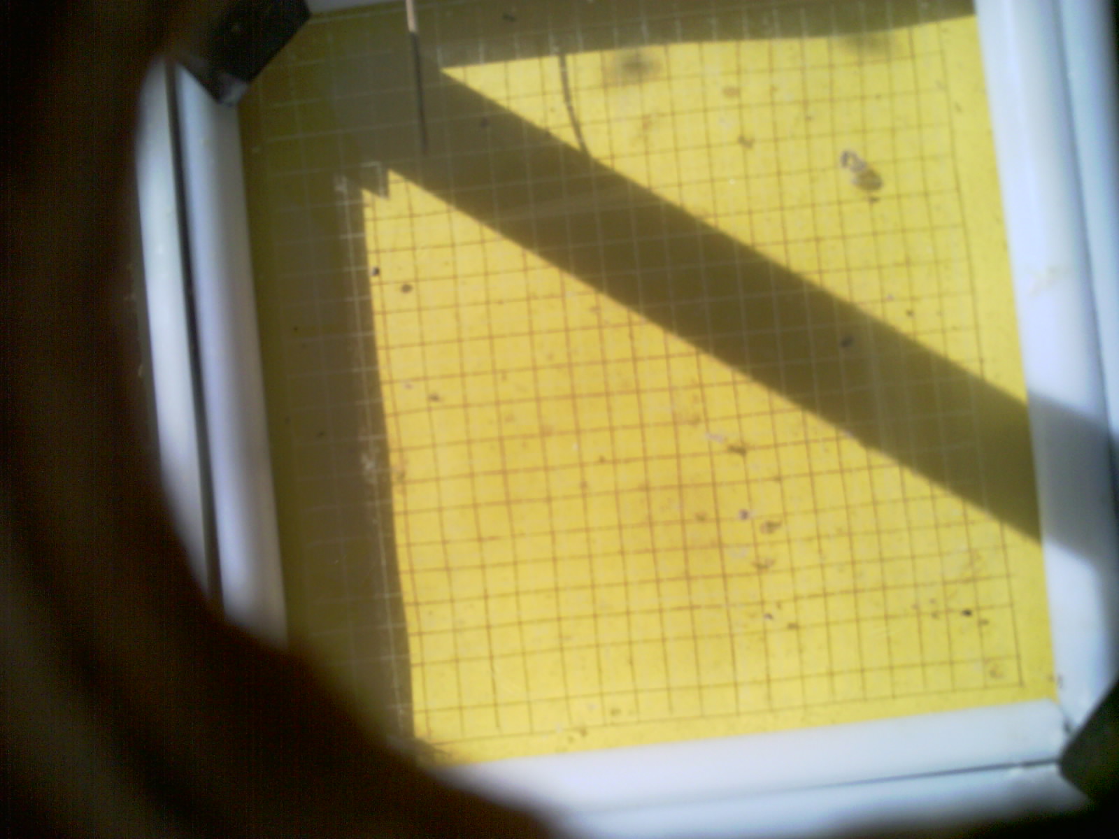 20260713_101852_UXGA_Q3.jpg