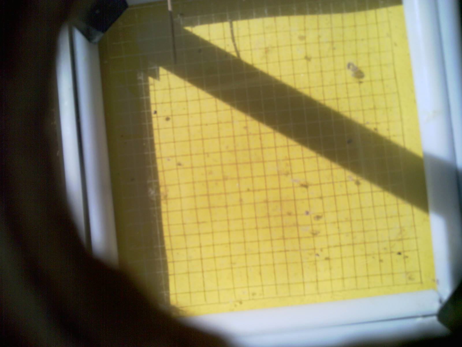 20260713_102540_UXGA_Q3.jpg