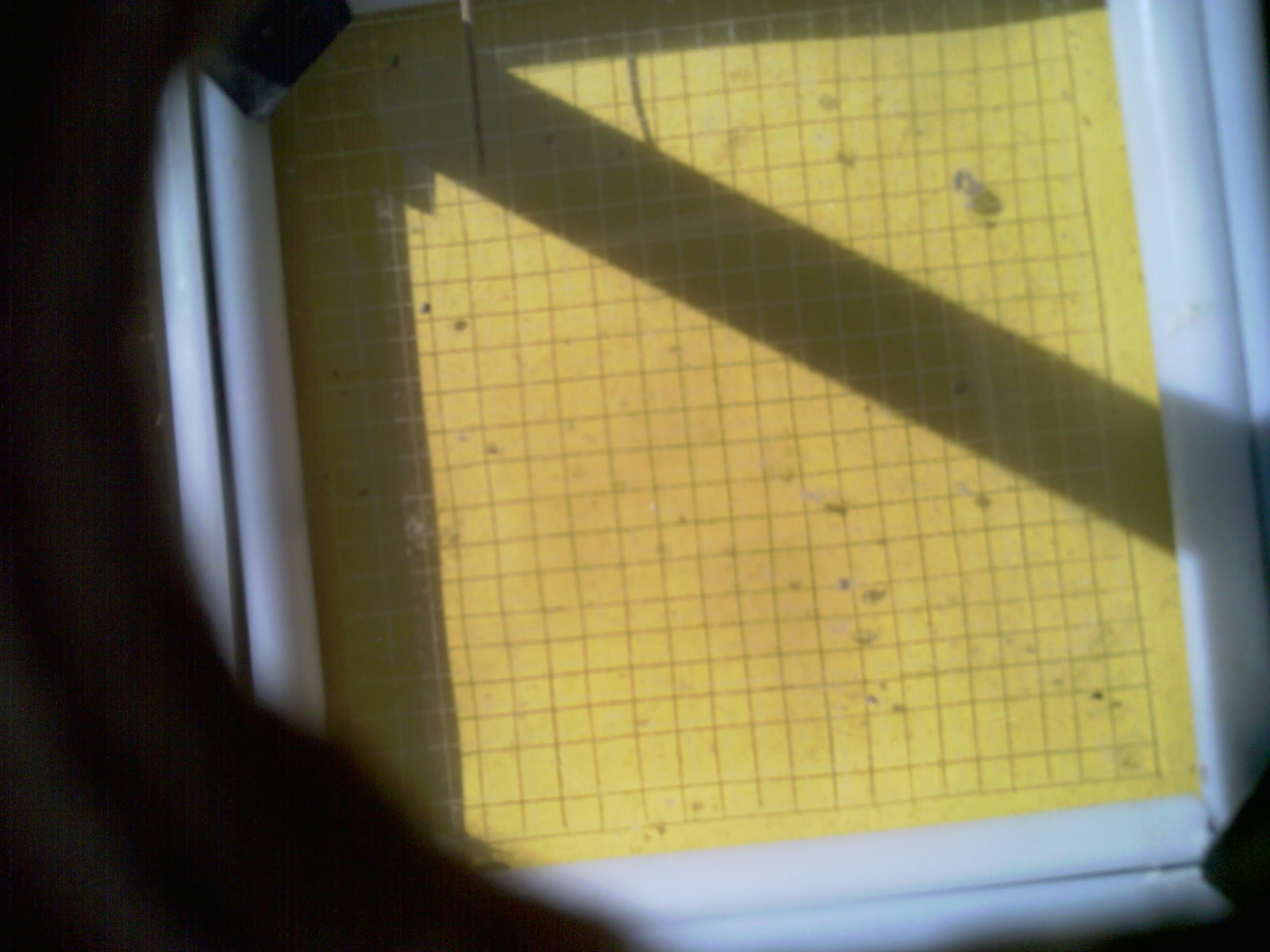 20260713_103333_UXGA_Q3.jpg