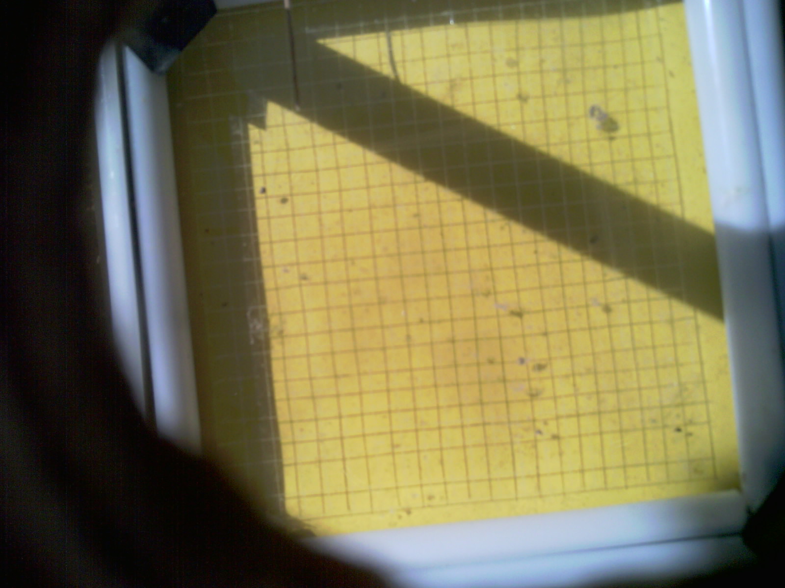 20260713_104012_UXGA_Q3.jpg