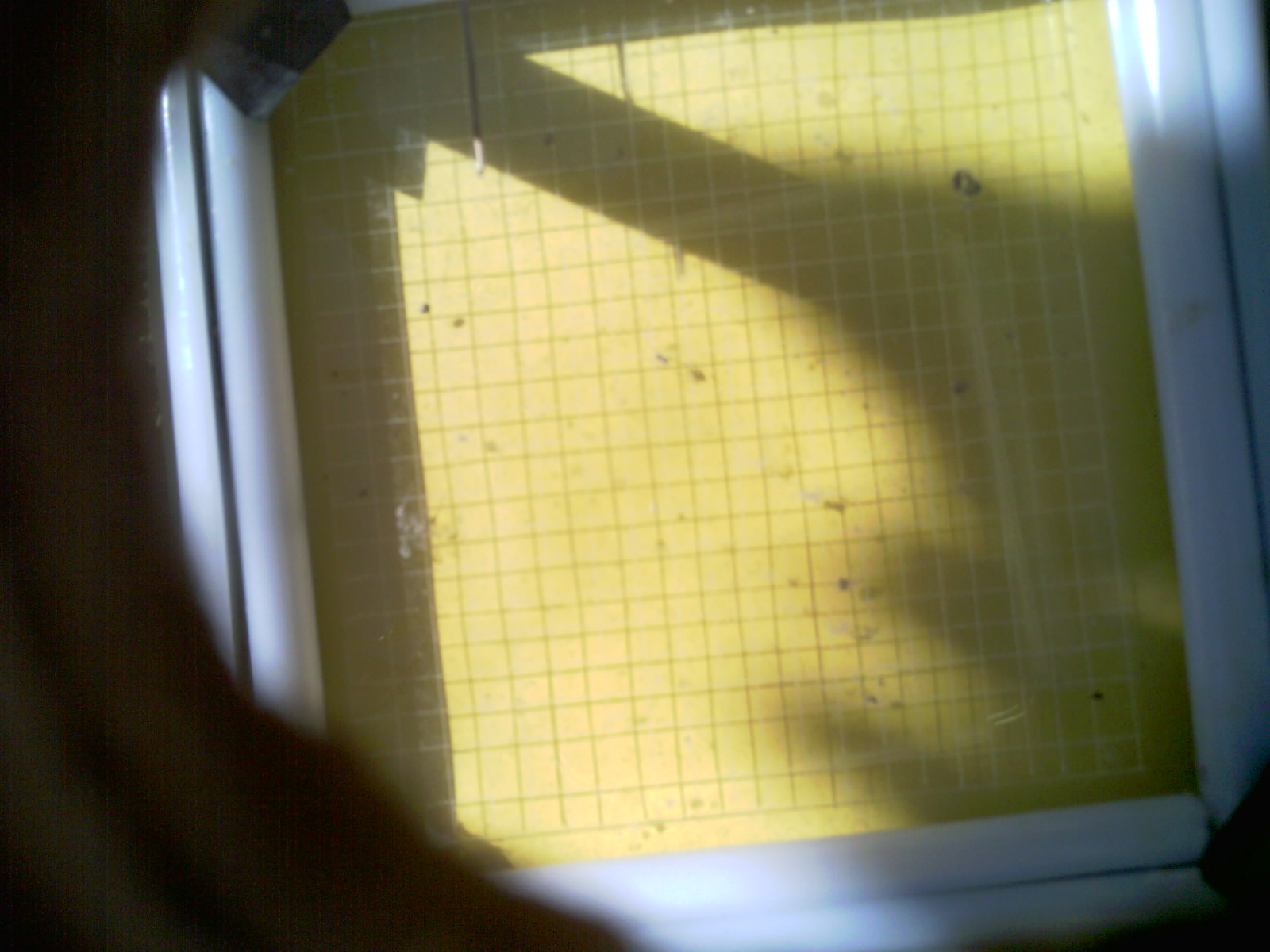 20260713_105443_UXGA_Q3.jpg