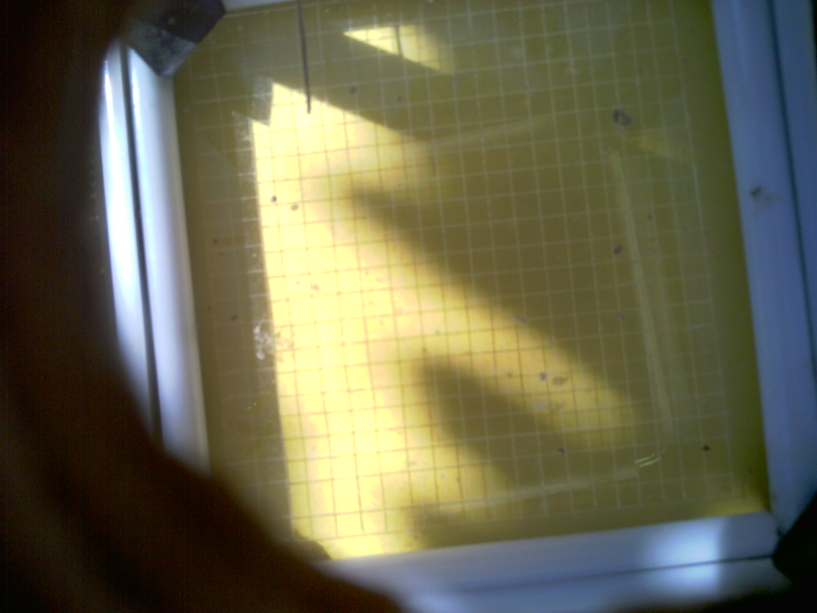 20260713_110137_UXGA_Q3.jpg