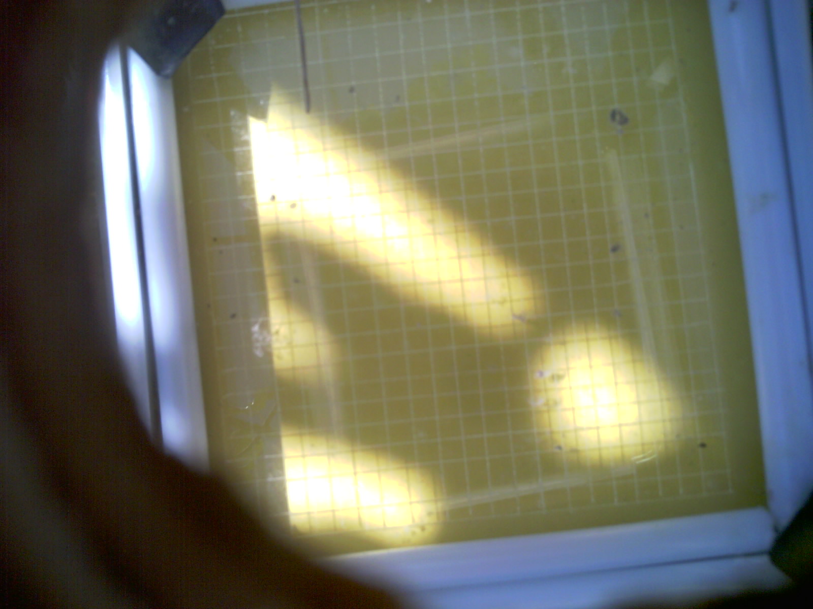 20260713_110818_UXGA_Q3.jpg