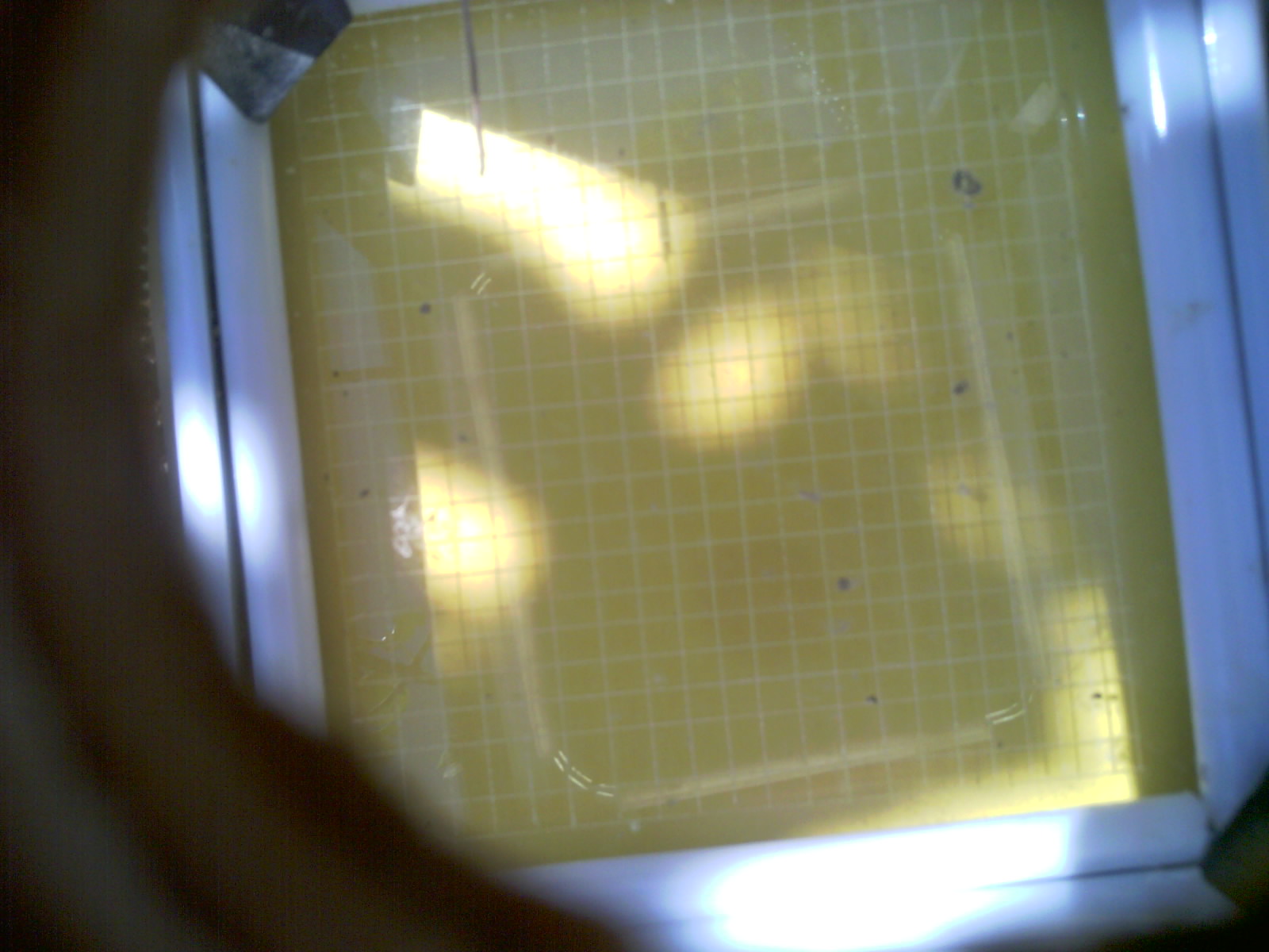20260713_111440_UXGA_Q3.jpg