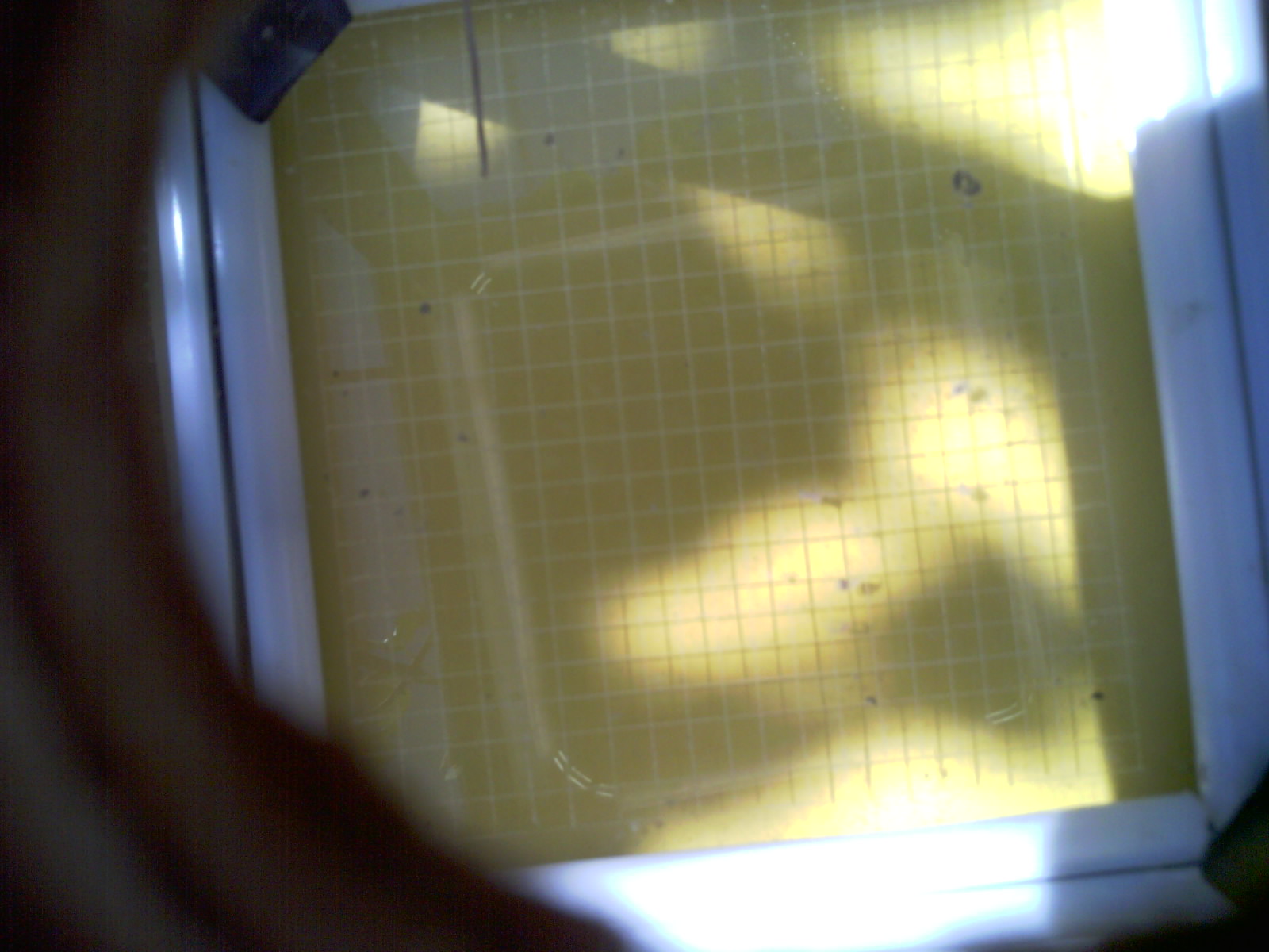 20260713_112135_UXGA_Q3.jpg