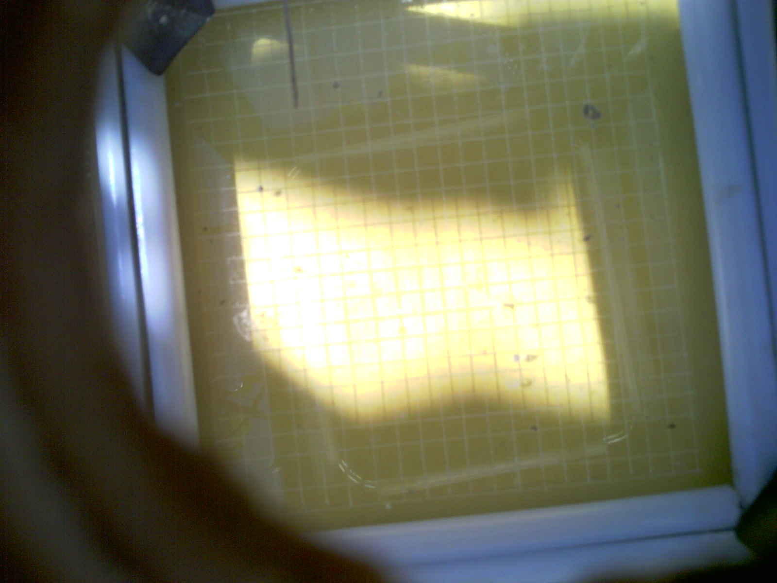 20260713_115005_UXGA_Q3.jpg