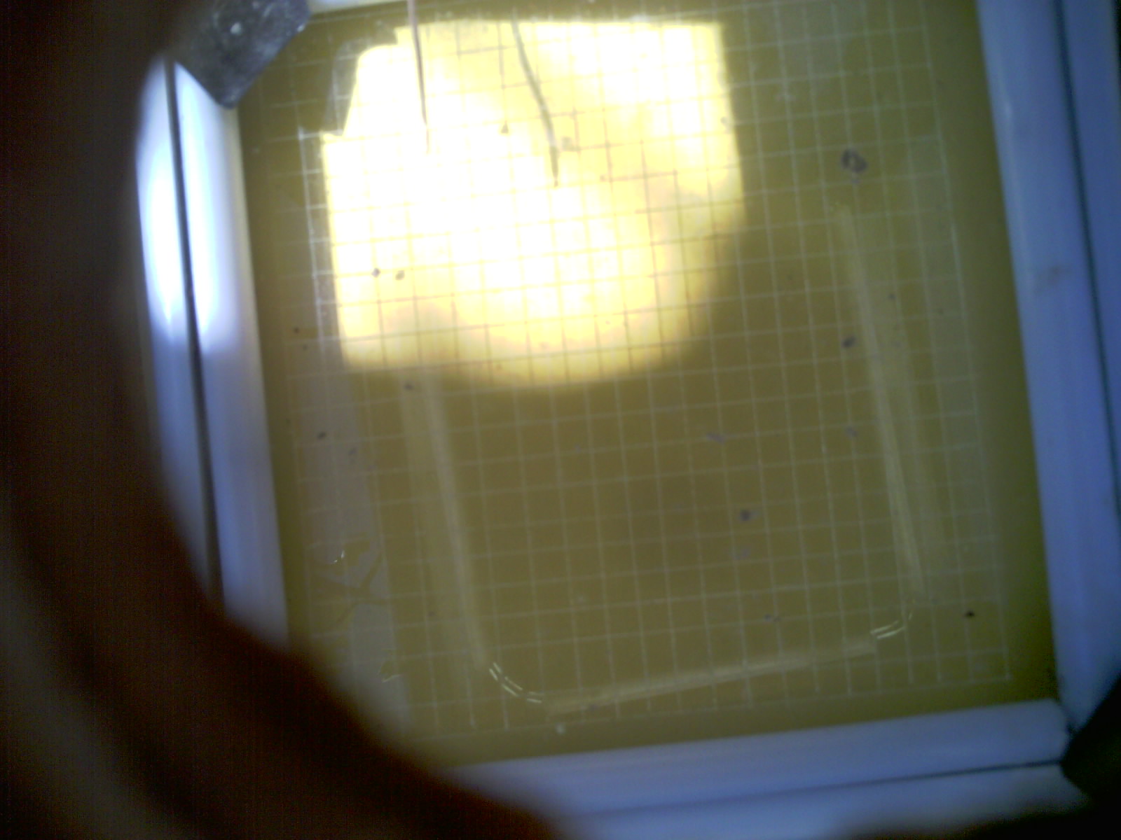 20260713_121540_UXGA_Q3.jpg