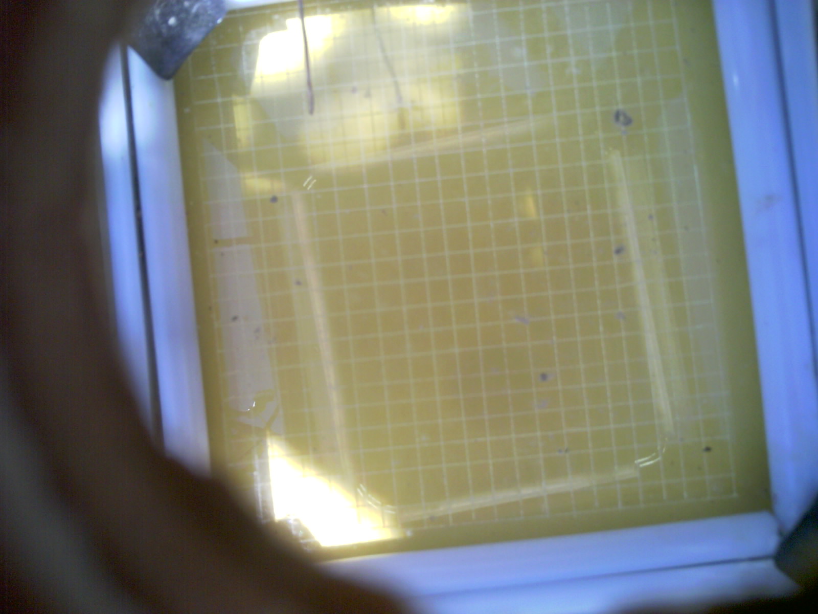 20260713_122151_UXGA_Q3.jpg