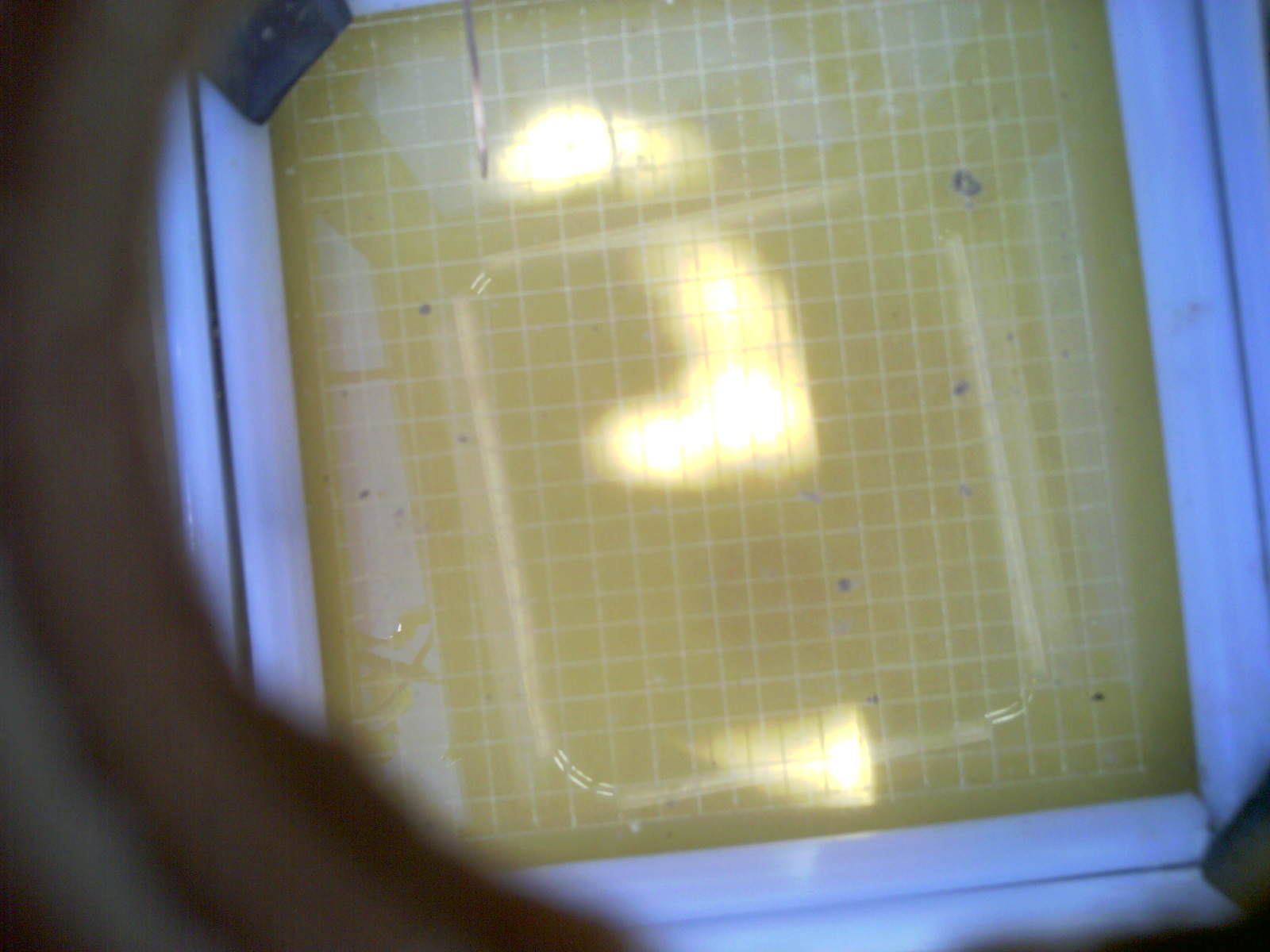 20260713_123349_UXGA_Q3.jpg