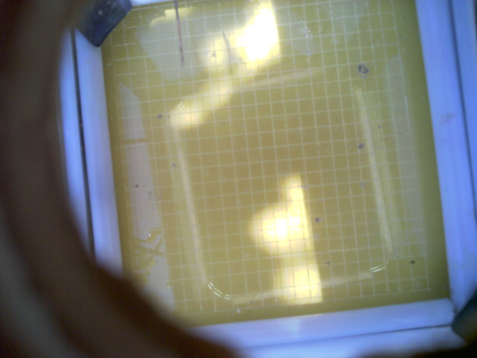 20260713_124025_UXGA_Q3.jpg
