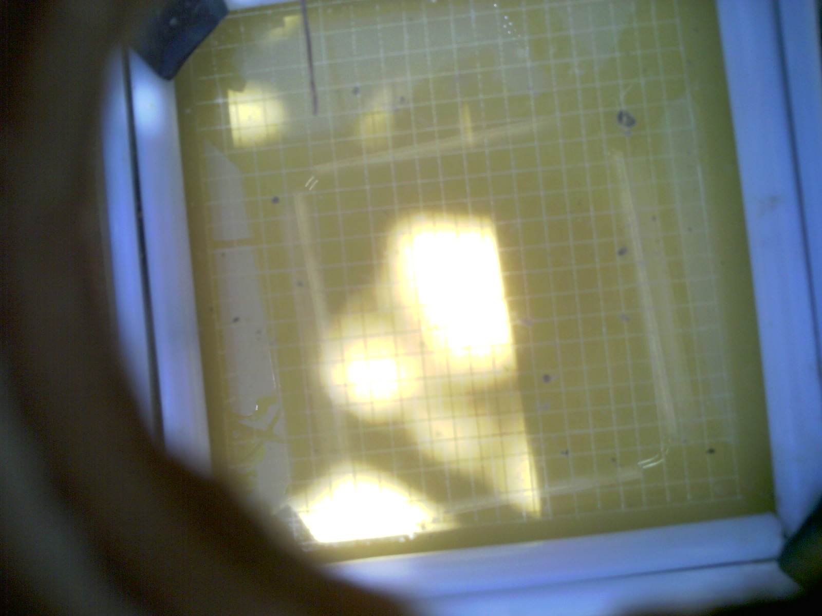 20260713_124647_UXGA_Q3.jpg
