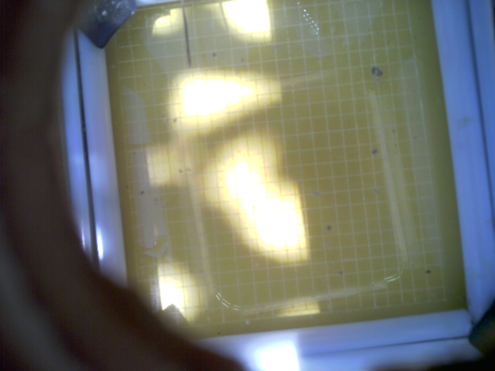 20260713_125318_UXGA_Q3.jpg