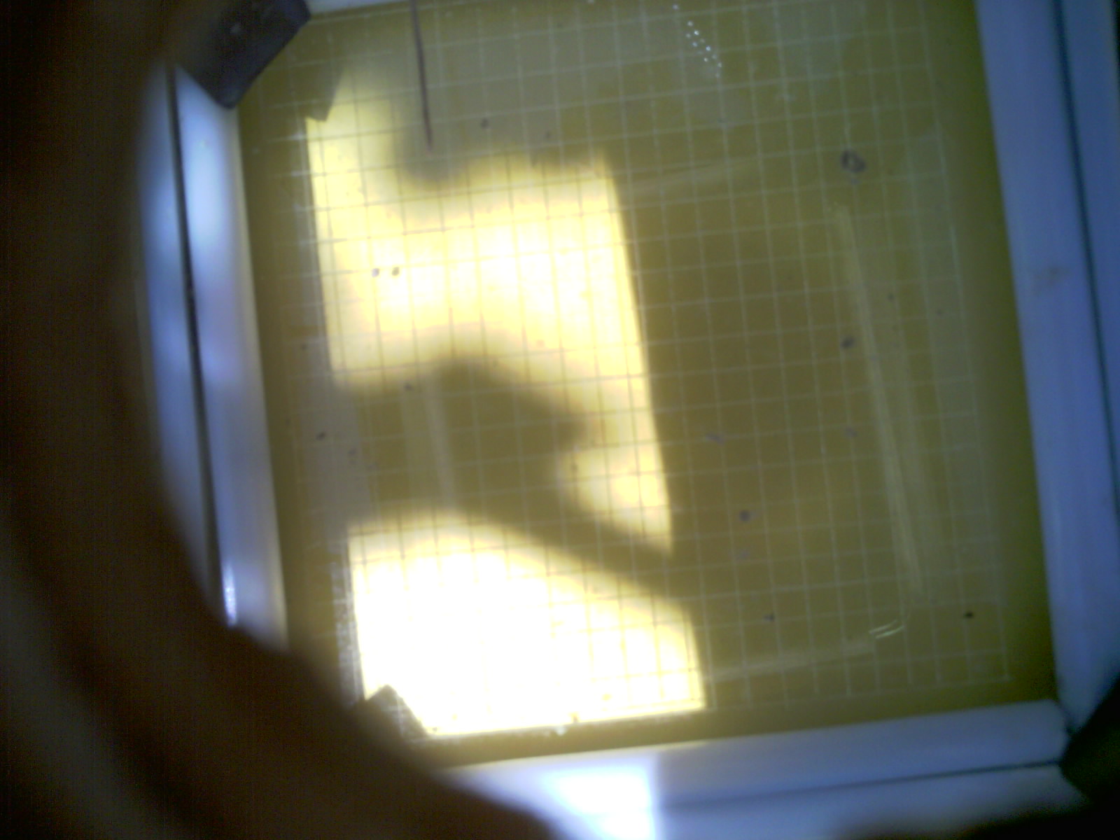 20260713_130011_UXGA_Q3.jpg