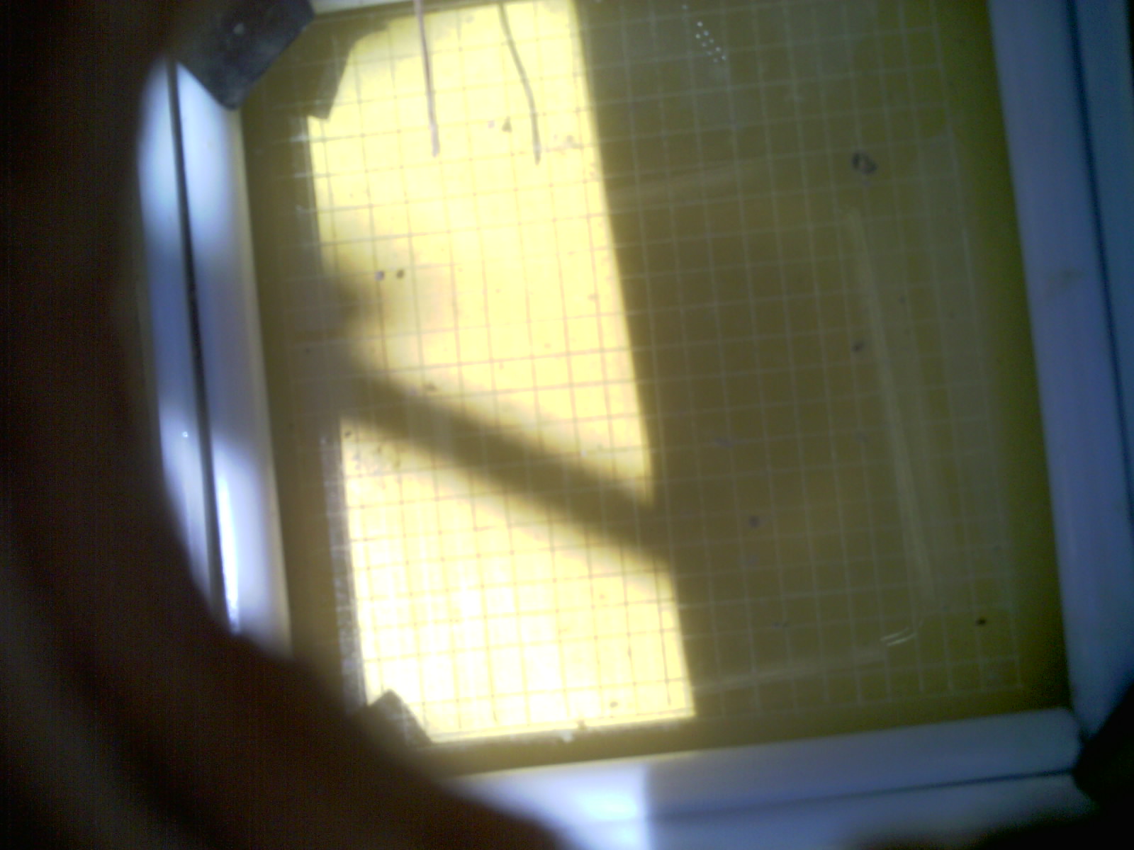 20260713_130722_UXGA_Q3.jpg