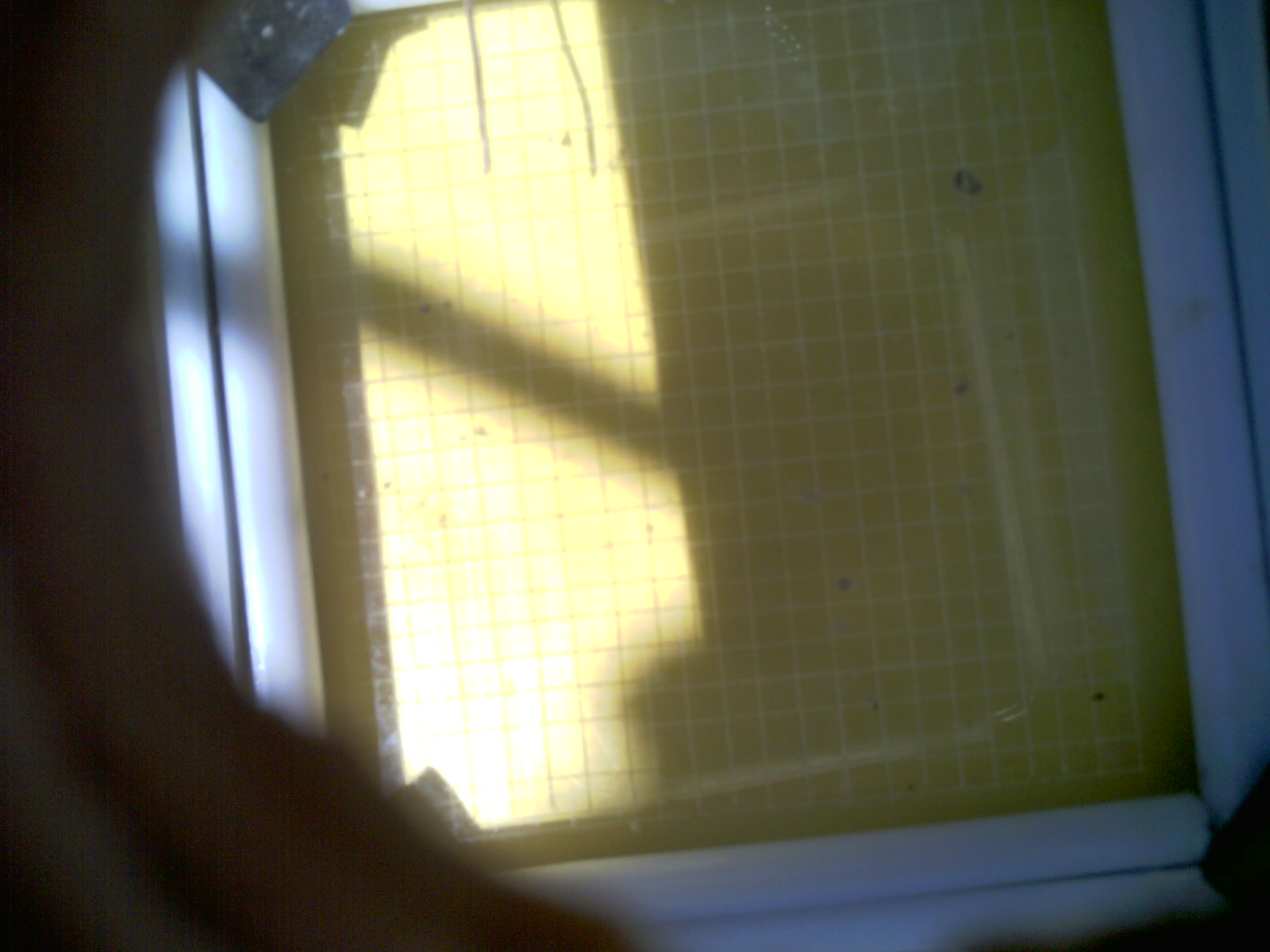 20260713_132039_UXGA_Q3.jpg