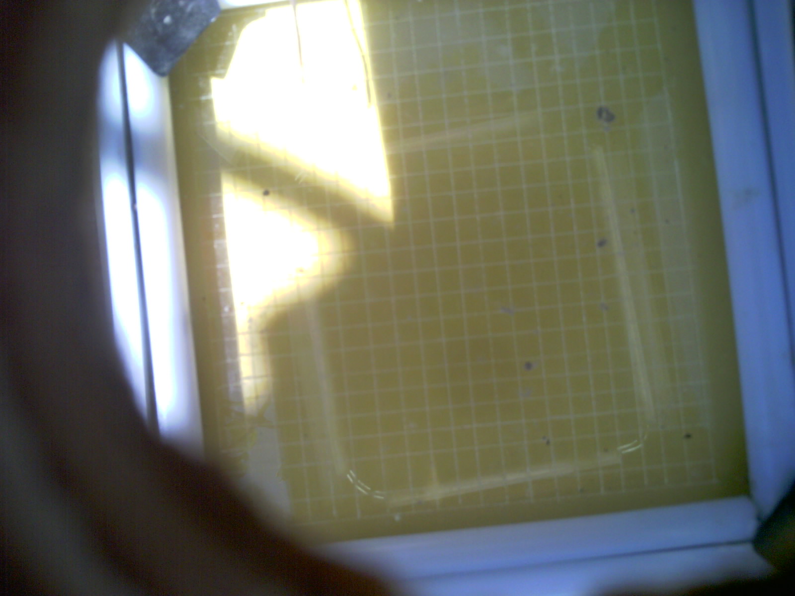 20260713_132717_UXGA_Q3.jpg