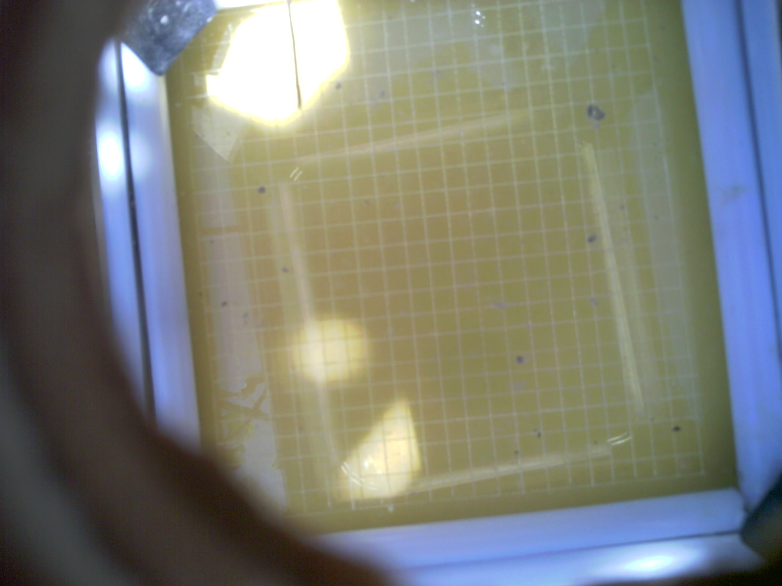20260713_133319_UXGA_Q3.jpg