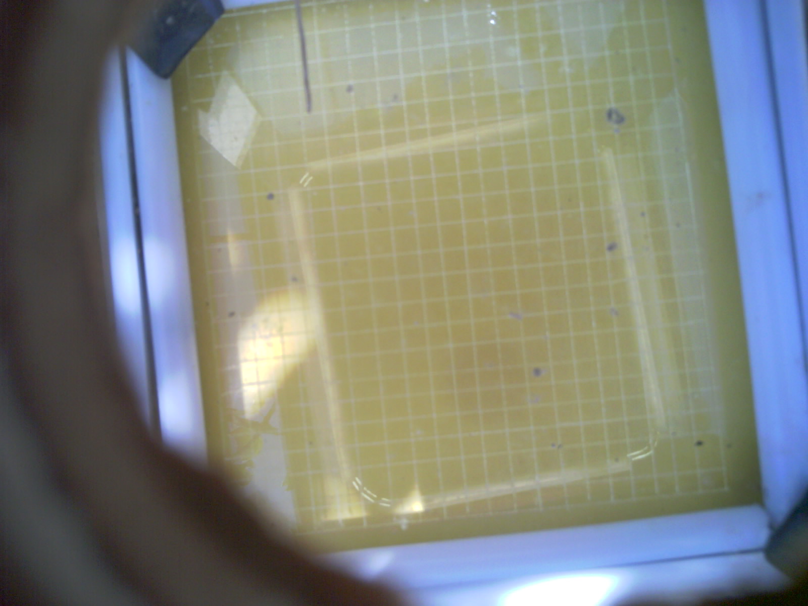 20260713_133914_UXGA_Q3.jpg