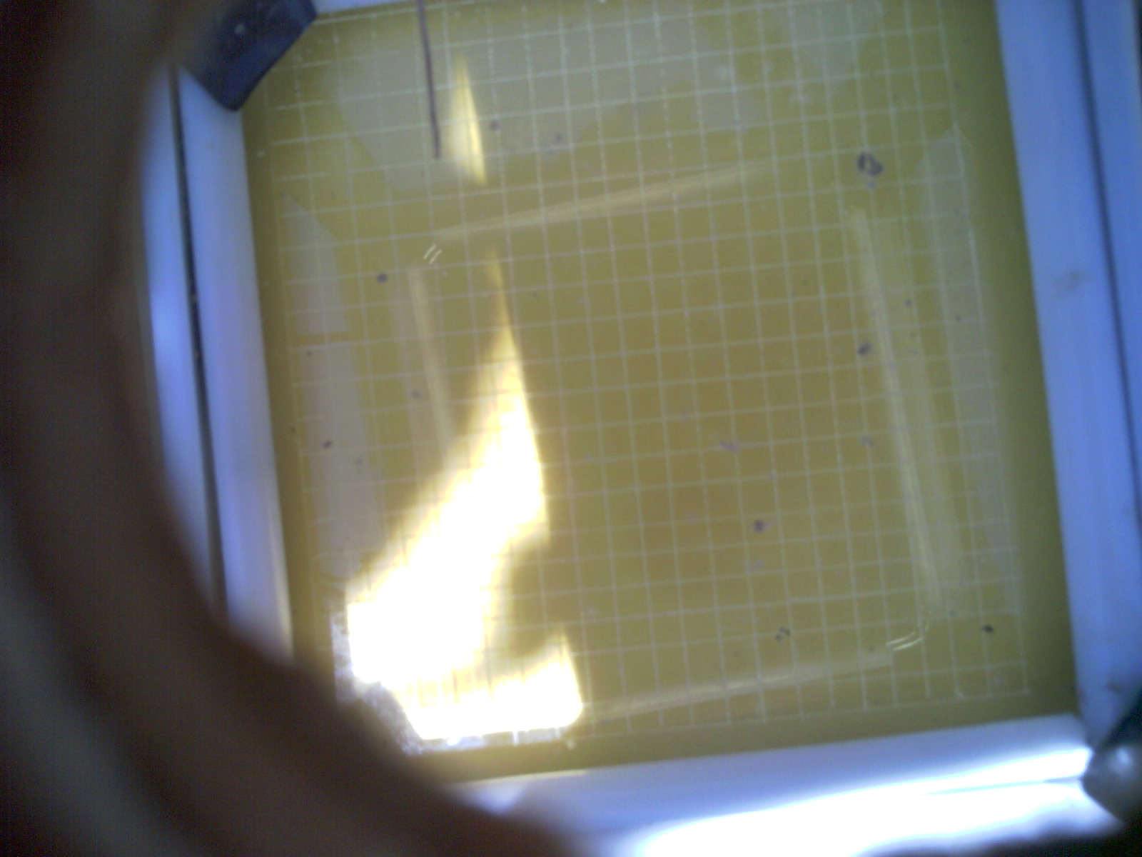 20260713_134557_UXGA_Q3.jpg