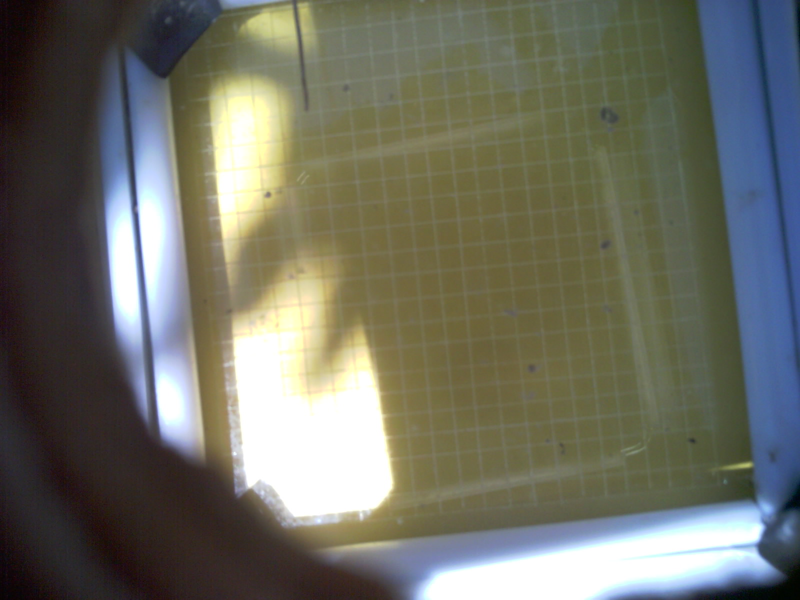 20260713_135205_UXGA_Q3.jpg