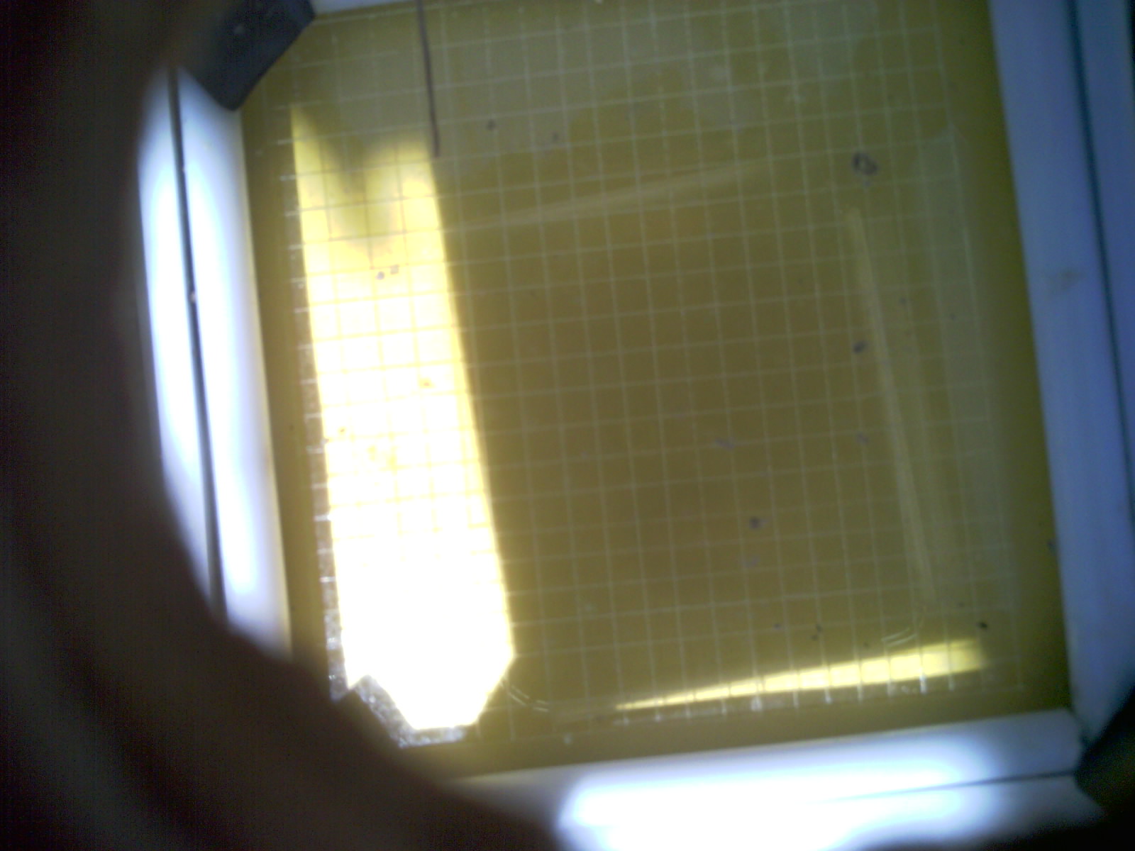20260713_140441_UXGA_Q3.jpg