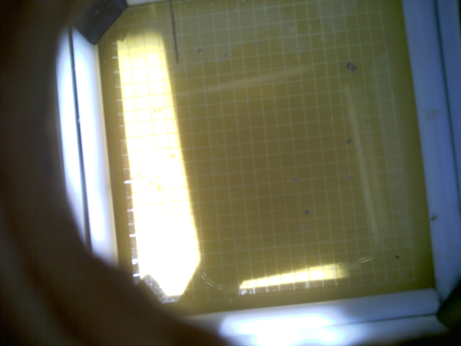 20260713_141118_UXGA_Q3.jpg