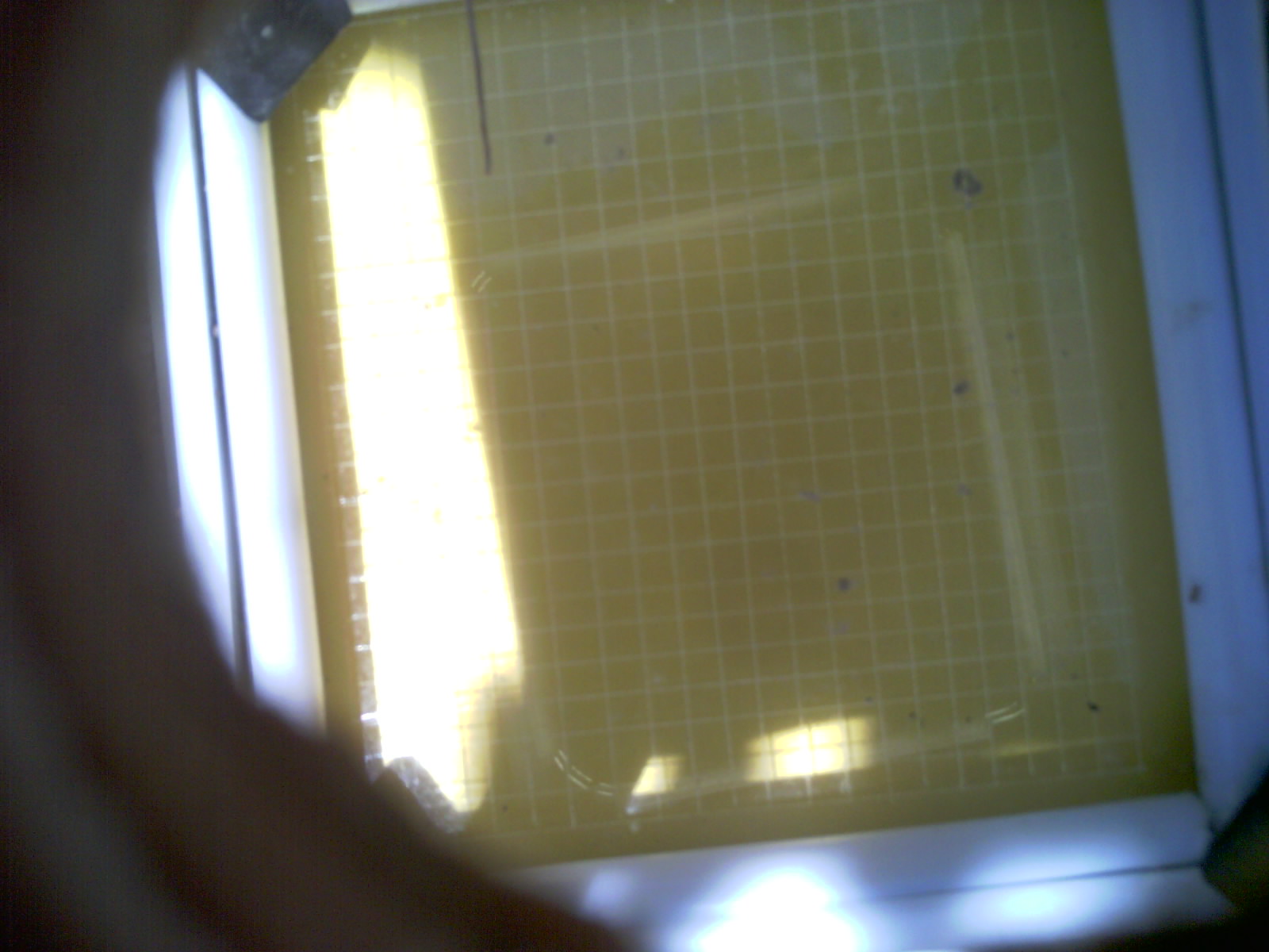 20260713_141802_UXGA_Q3.jpg