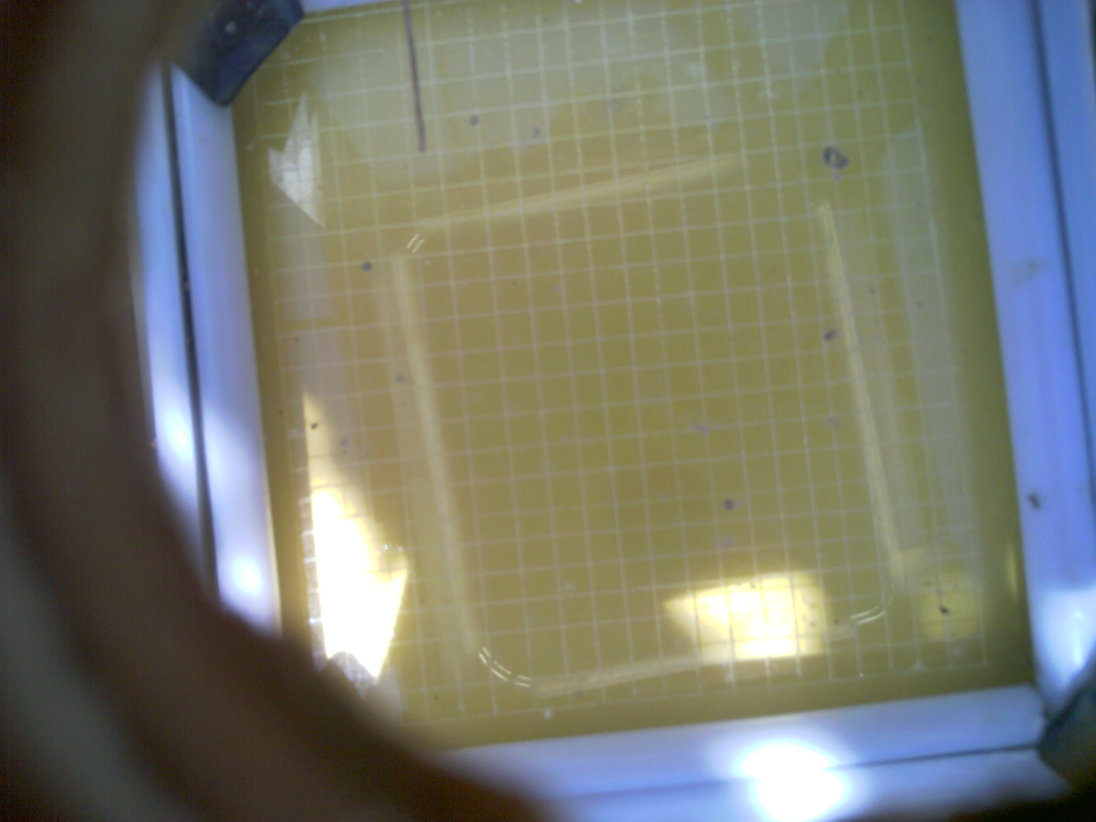 20260713_143116_UXGA_Q3.jpg