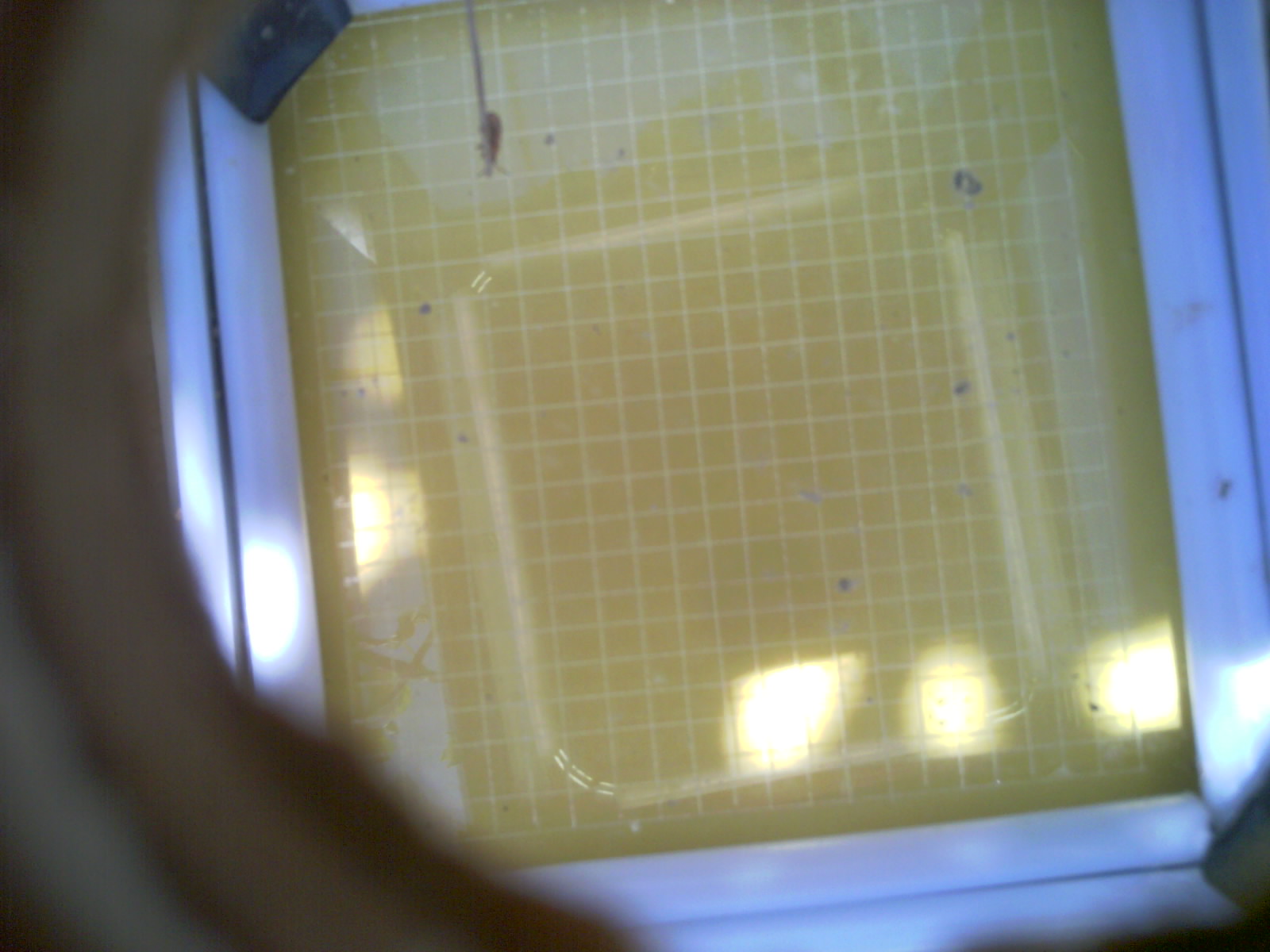 20260713_143728_UXGA_Q3.jpg