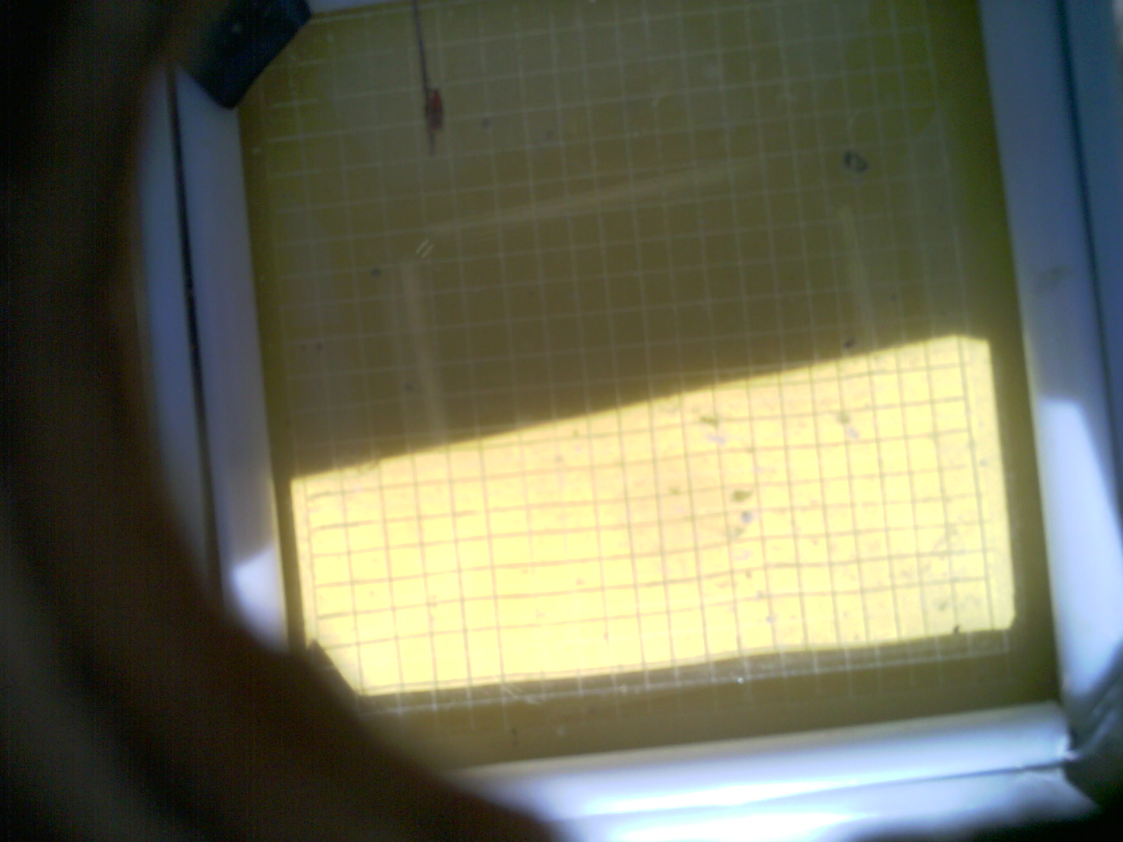 20260713_155429_UXGA_Q3.jpg