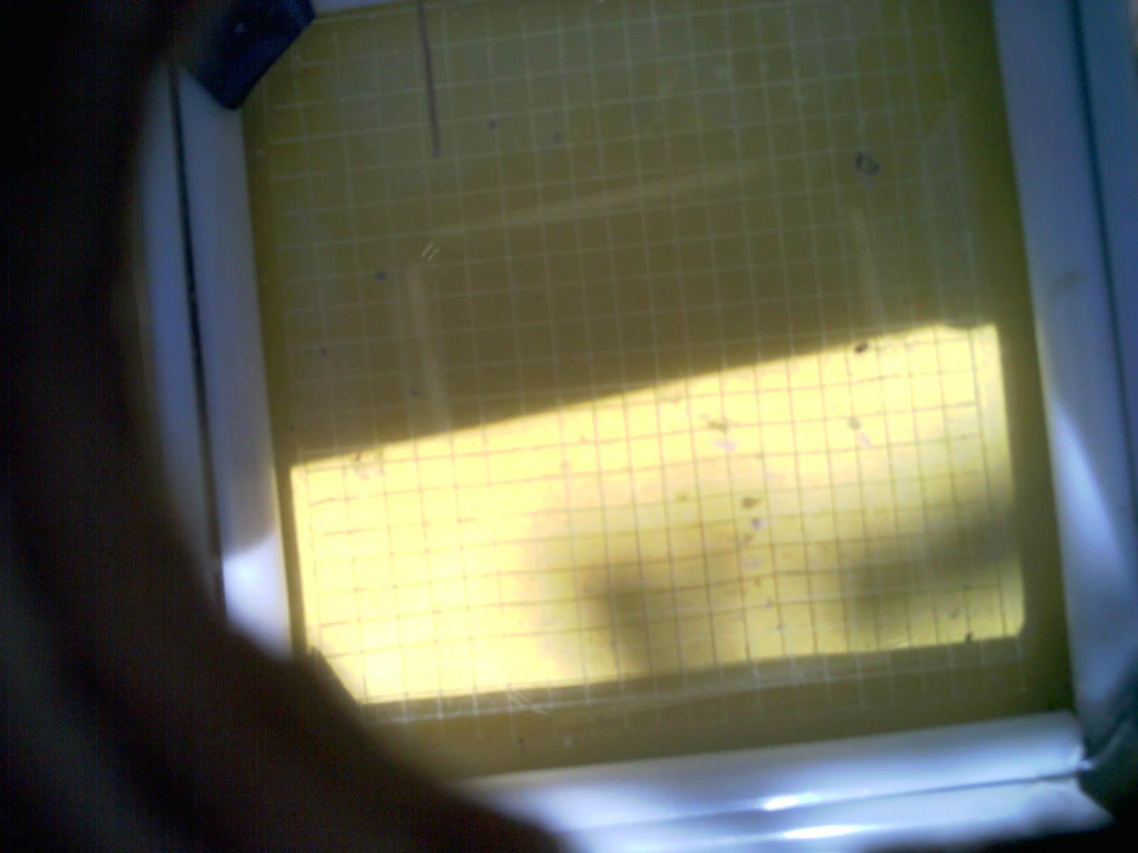 20260713_160114_UXGA_Q3.jpg