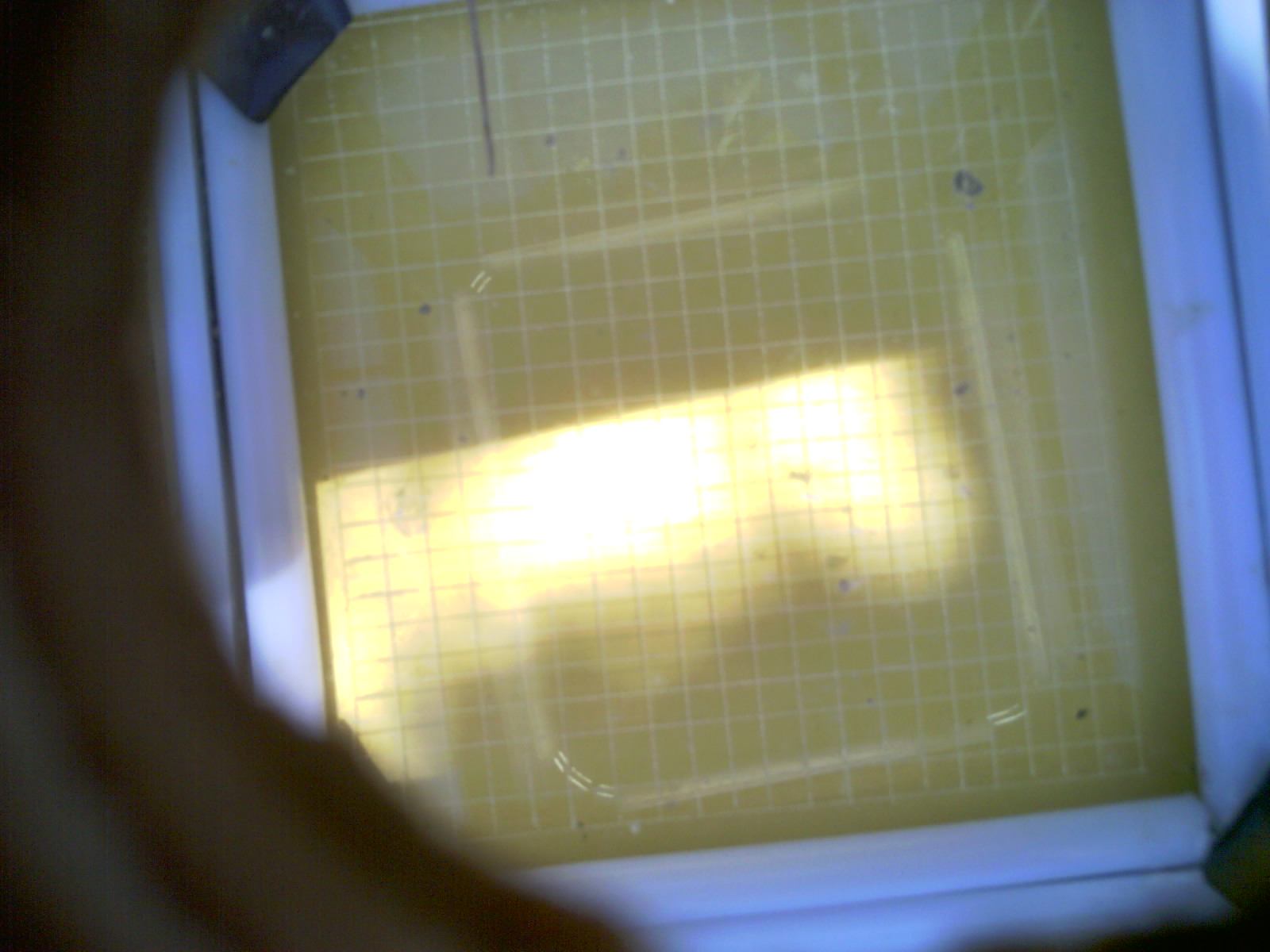 20260713_161624_UXGA_Q3.jpg