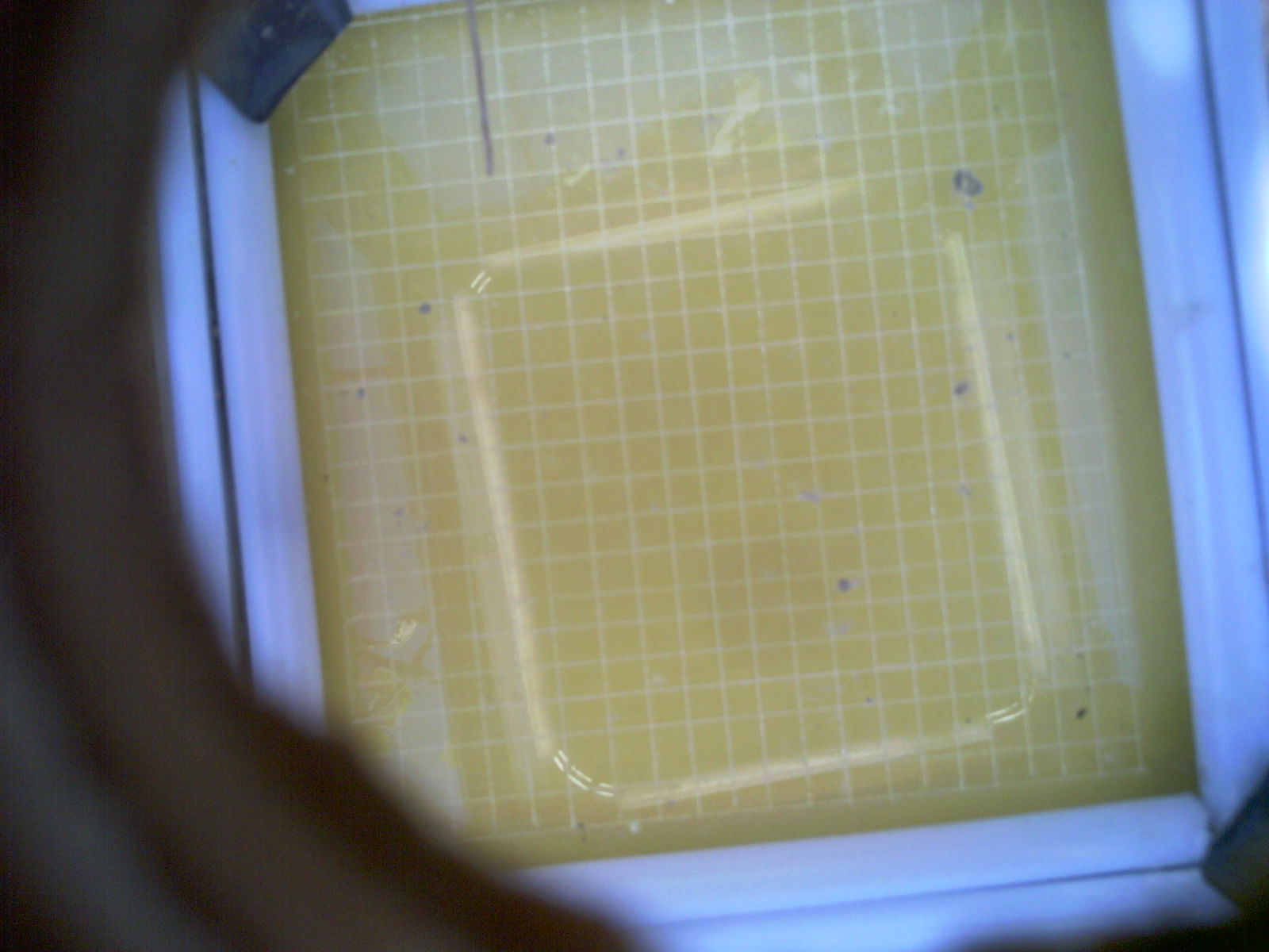 20260713_163012_UXGA_Q3.jpg