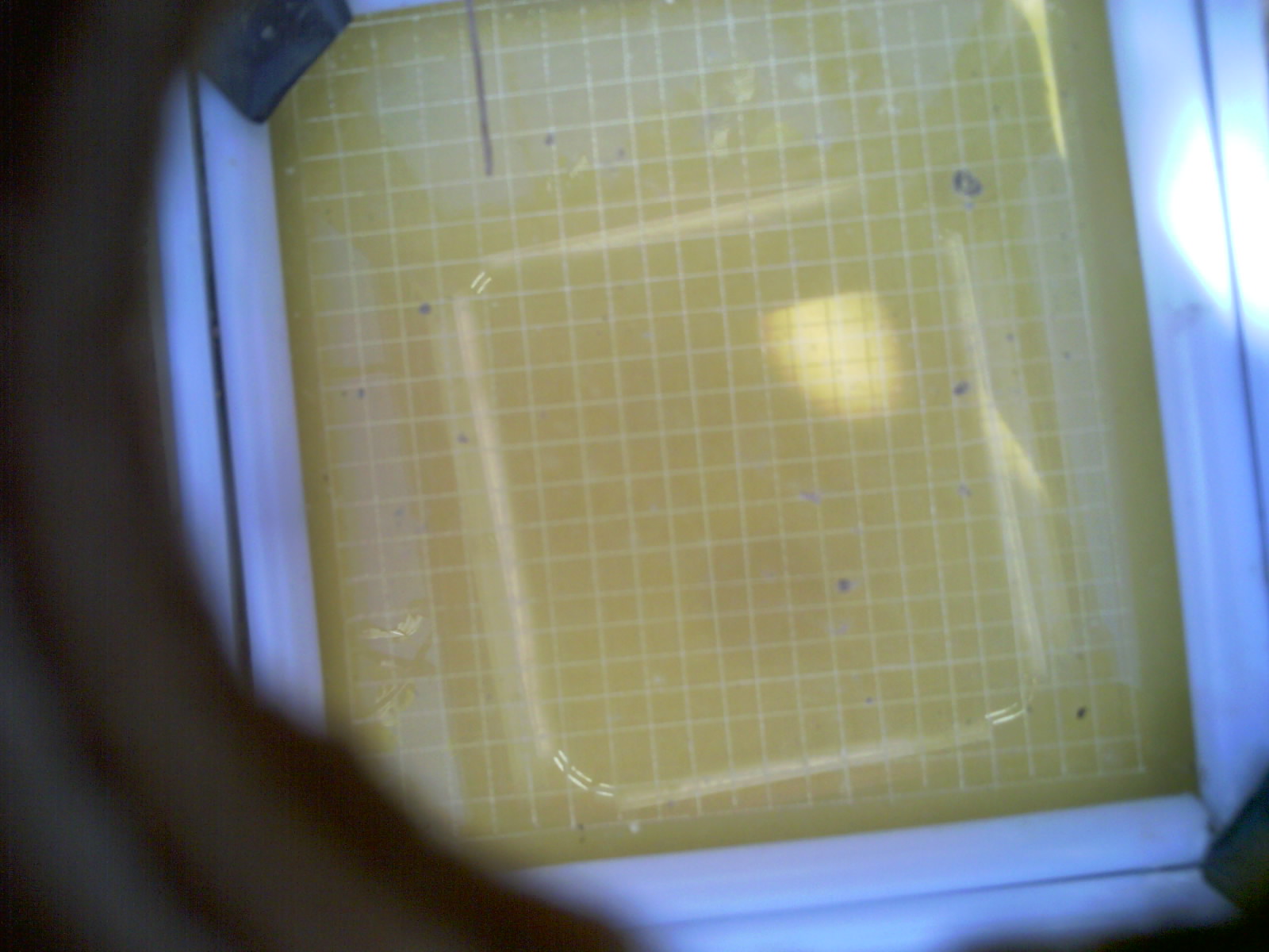 20260713_163657_UXGA_Q3.jpg