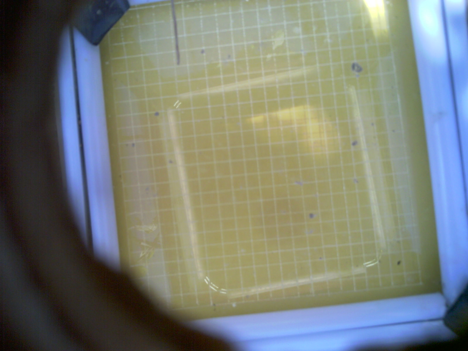 20260713_164357_UXGA_Q3.jpg