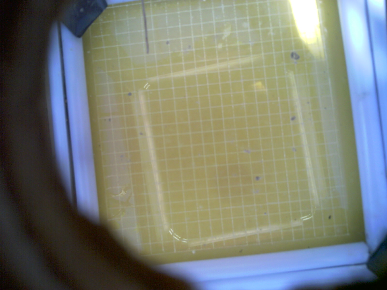 20260713_165026_UXGA_Q3.jpg