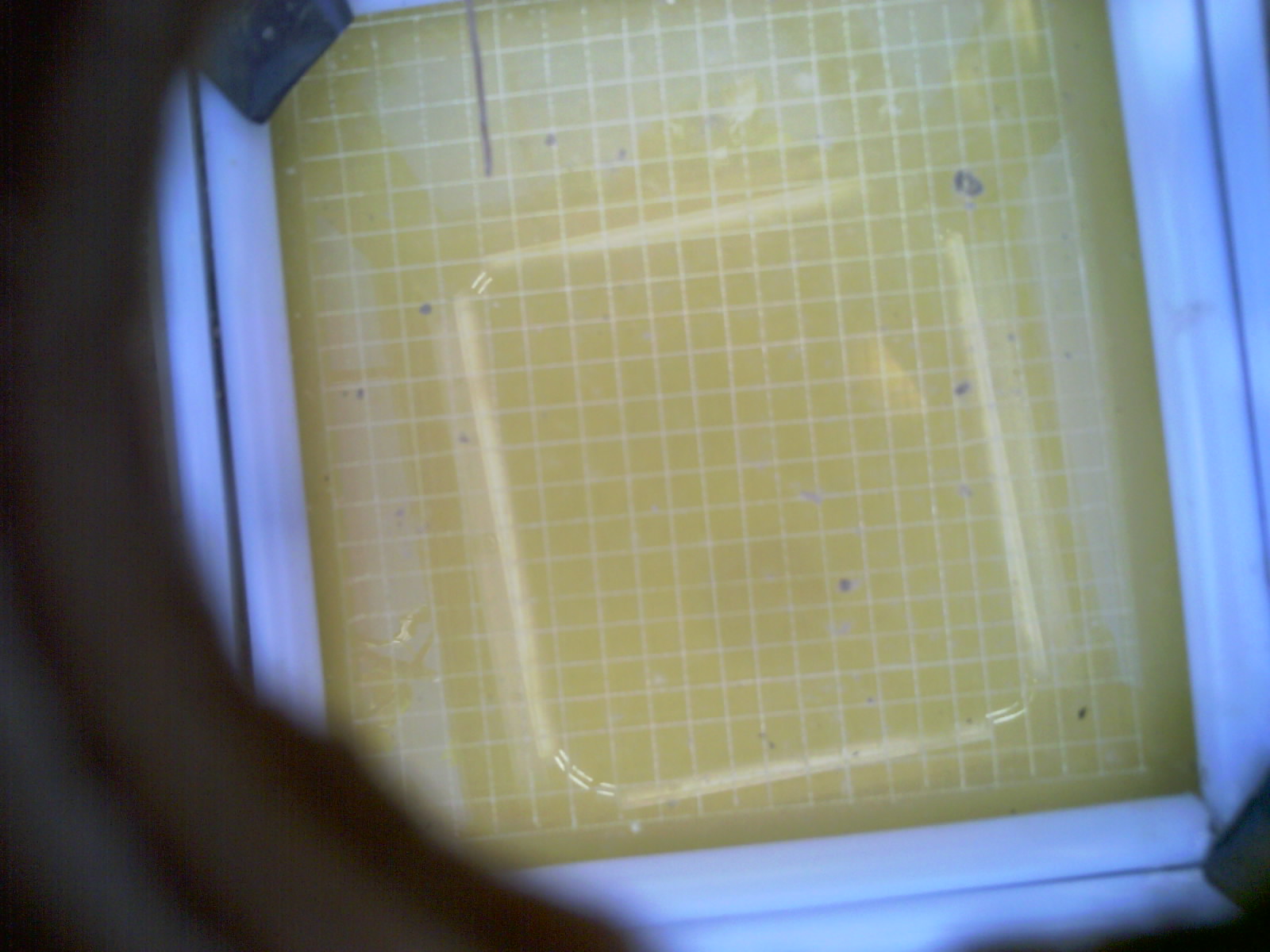 20260713_165653_UXGA_Q3.jpg
