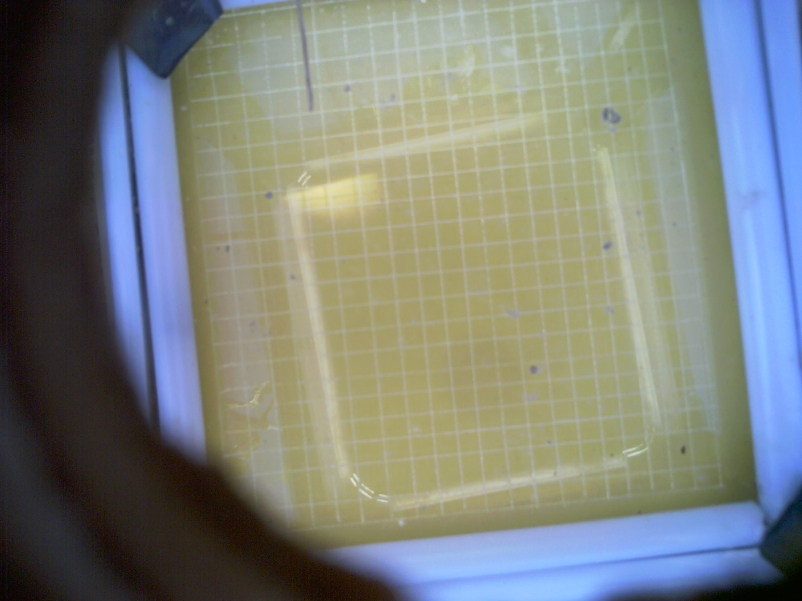 20260713_170354_UXGA_Q3.jpg