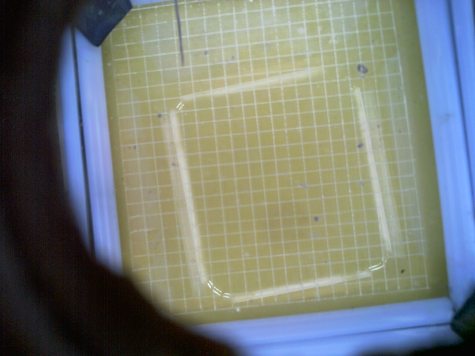20260713_205017_UXGA_Q3.jpg