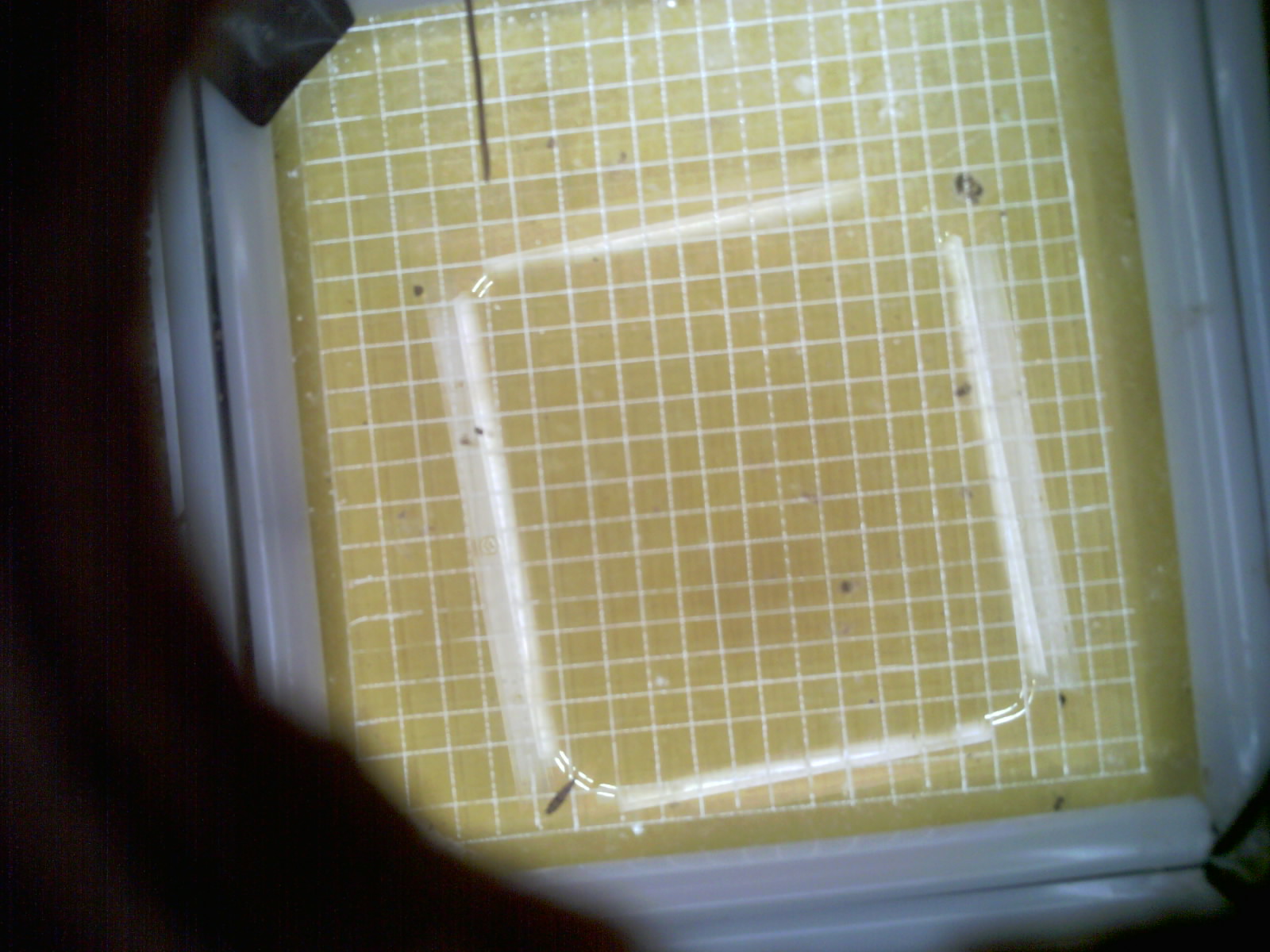 20260714_061216_UXGA_Q3.jpg