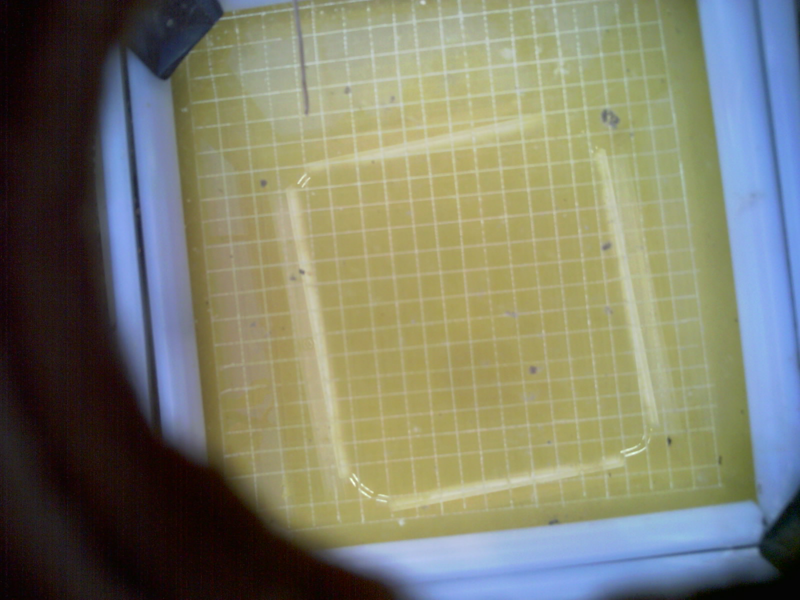 20260714_081425_UXGA_Q3.jpg
