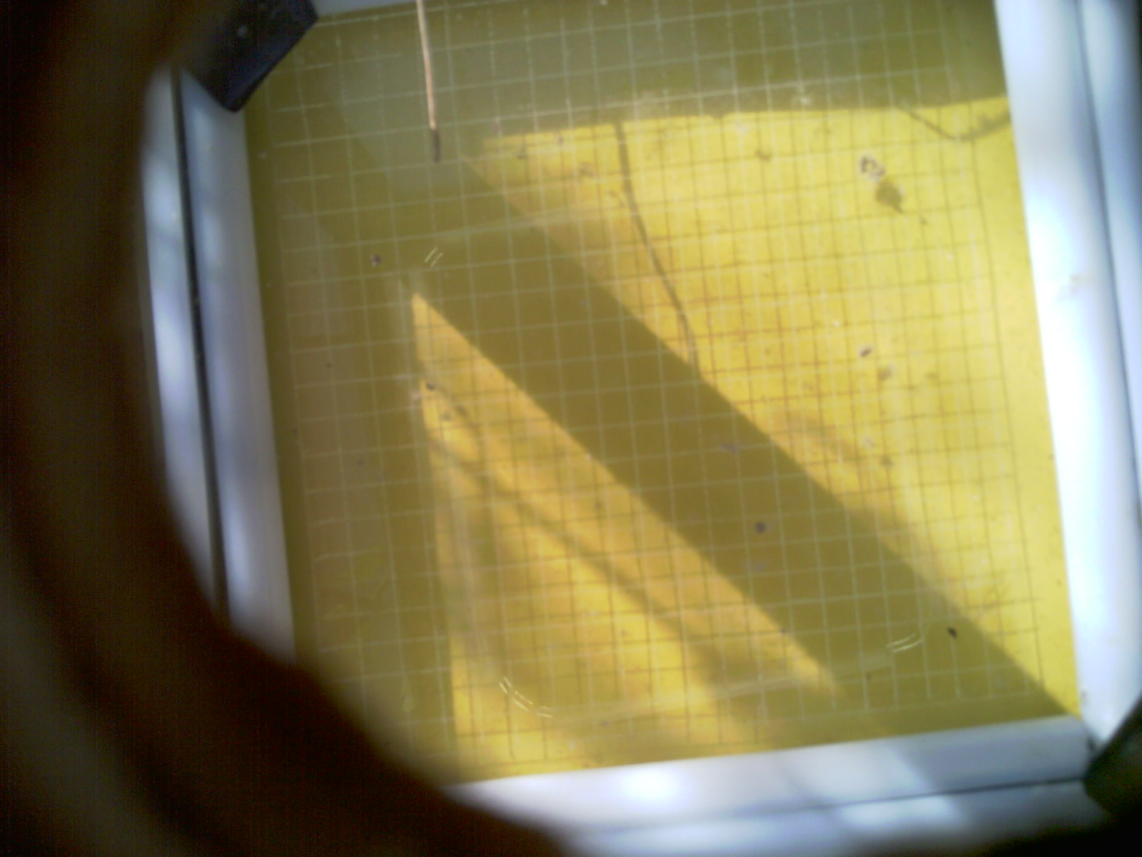 20260714_090545_UXGA_Q3.jpg