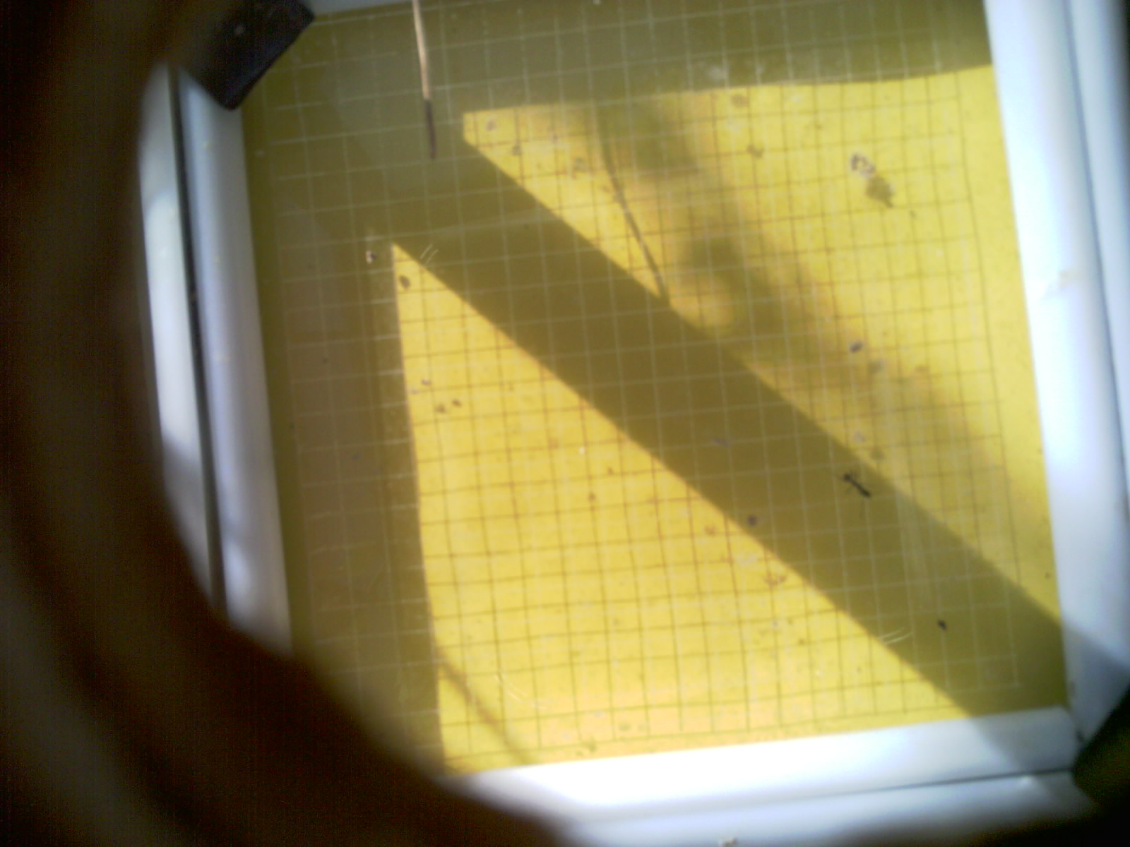20260714_092509_UXGA_Q3.jpg
