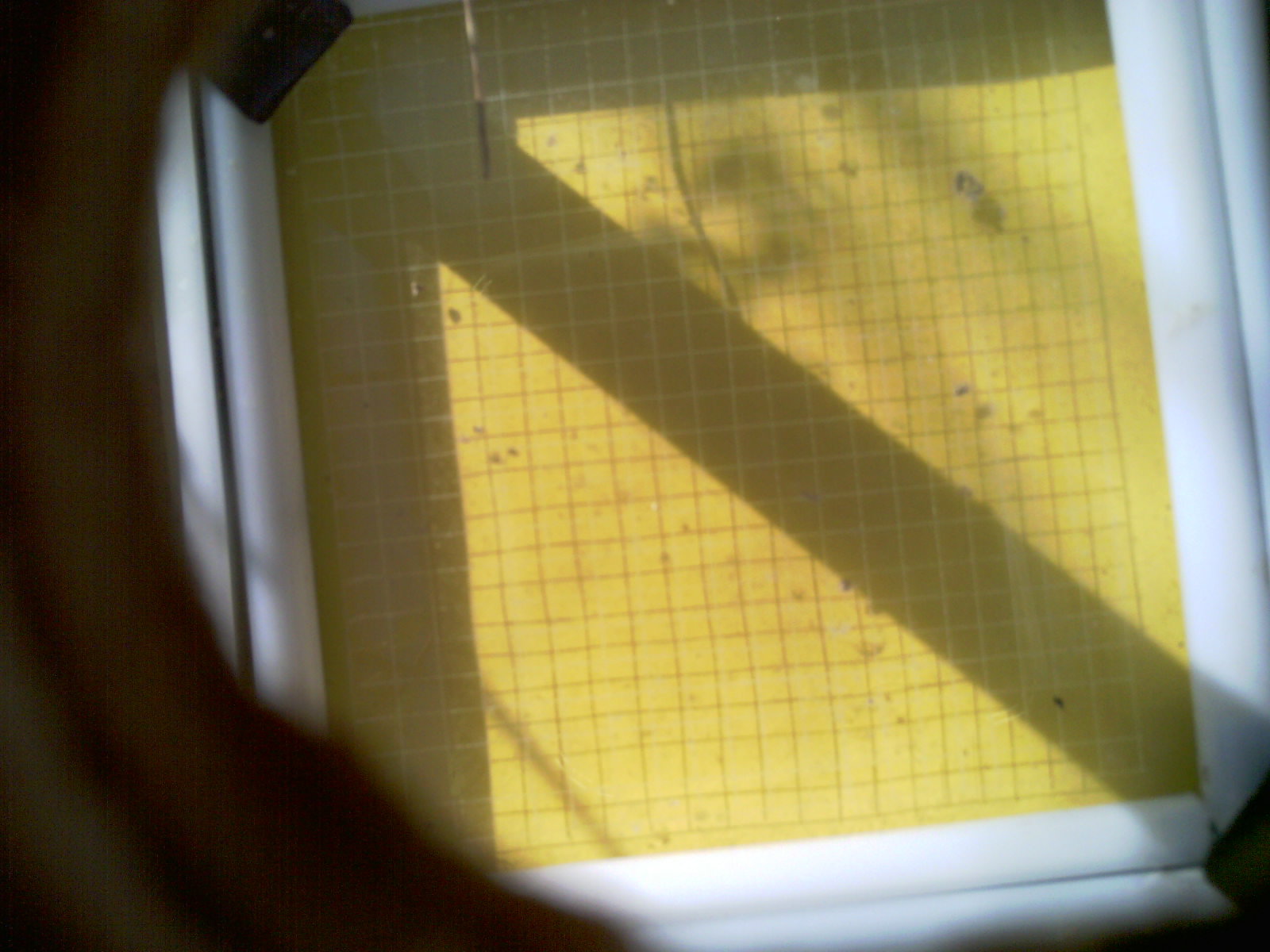 20260714_093150_UXGA_Q3.jpg