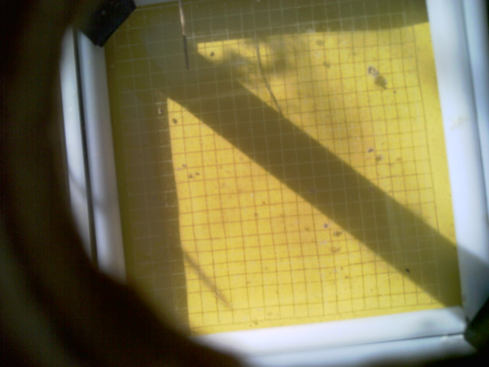 20260714_093853_UXGA_Q3.jpg