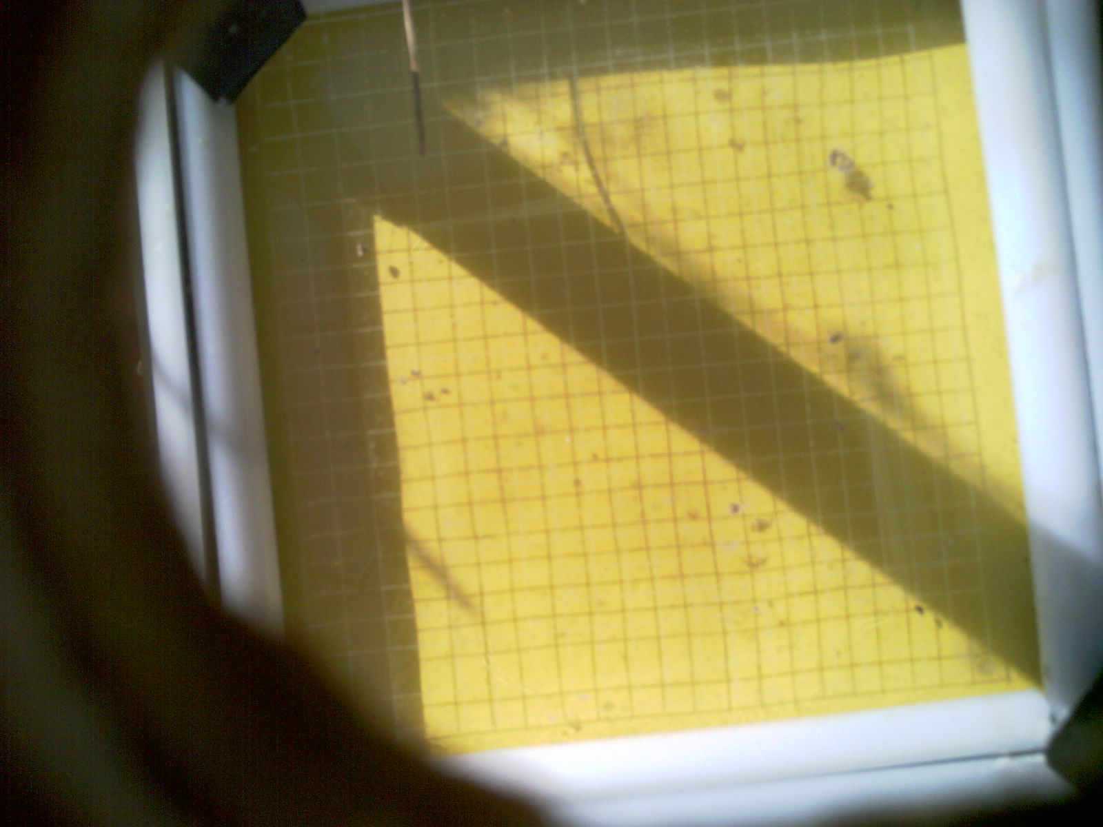 20260714_094530_UXGA_Q3.jpg