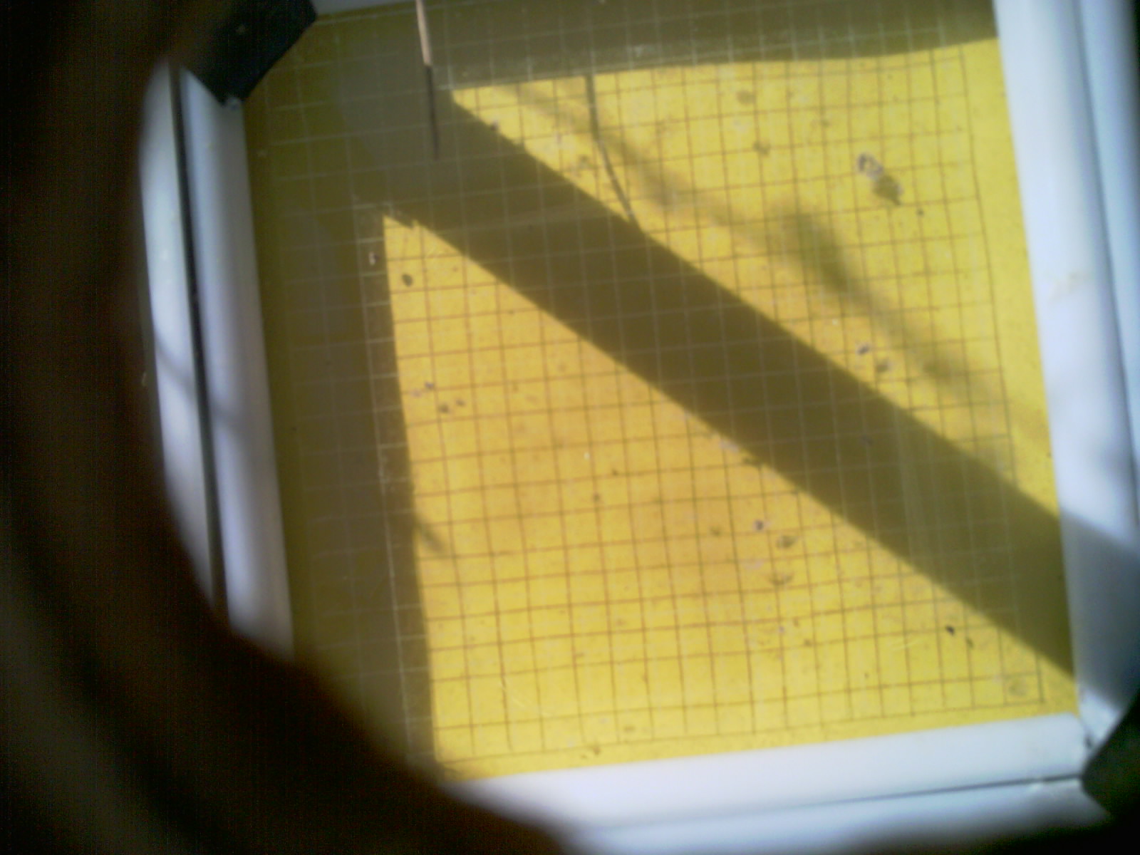 20260714_095154_UXGA_Q3.jpg