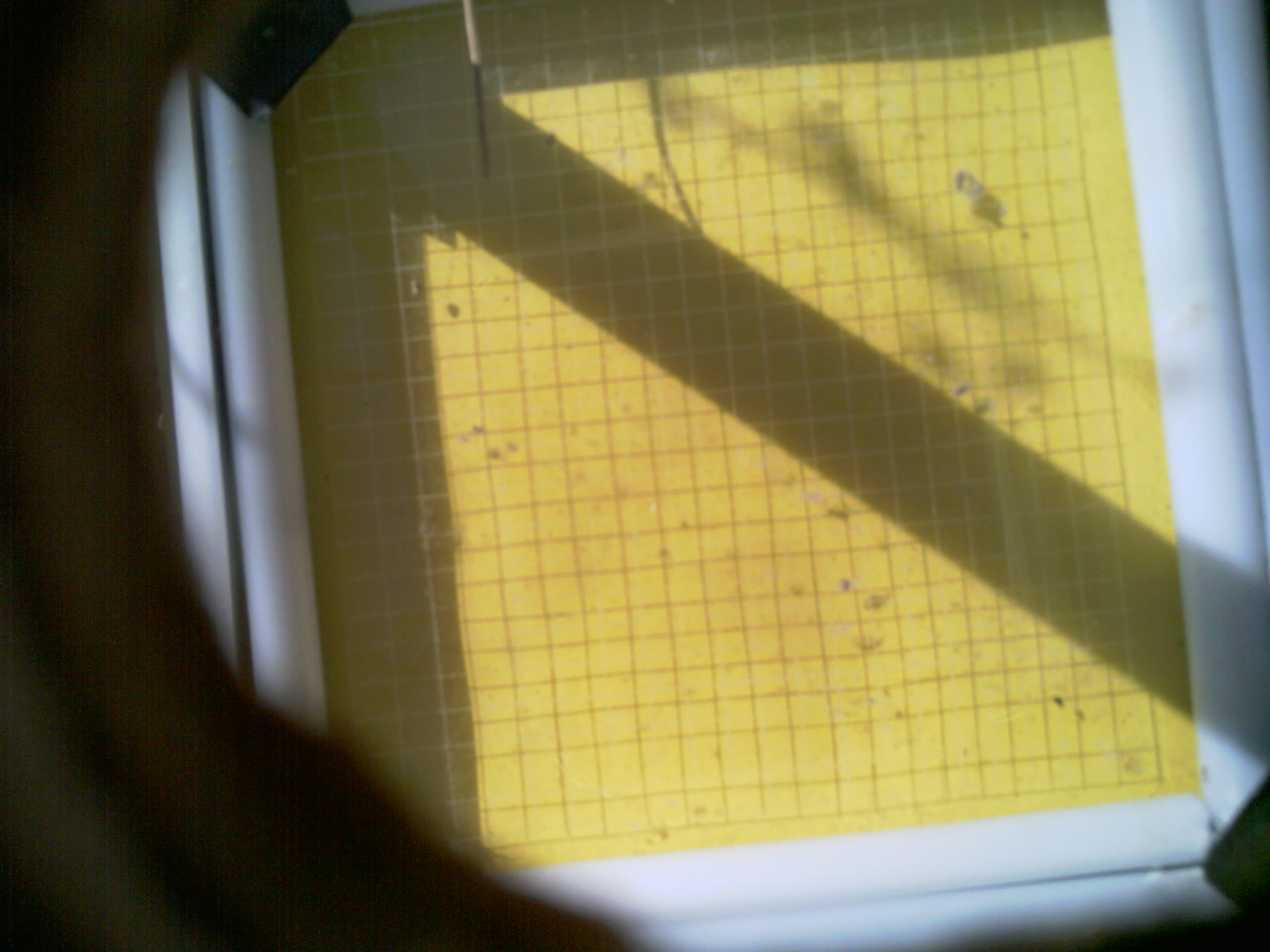 20260714_095833_UXGA_Q3.jpg