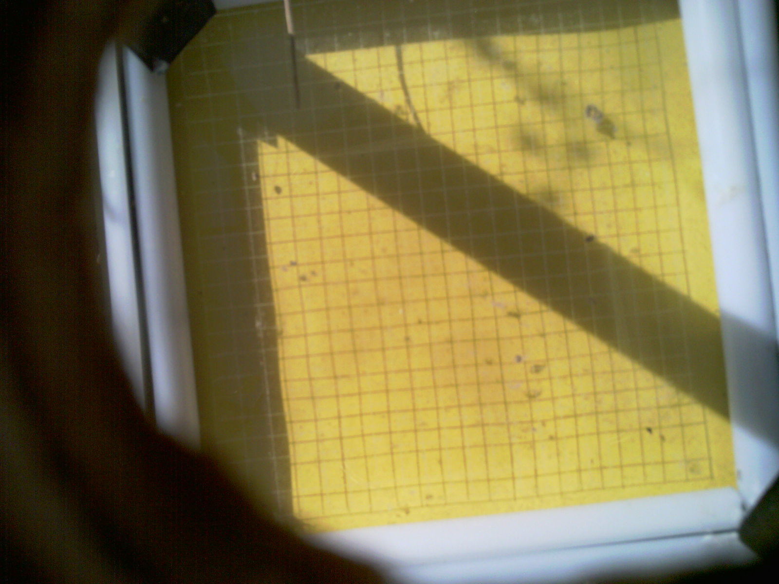 20260714_100536_UXGA_Q3.jpg