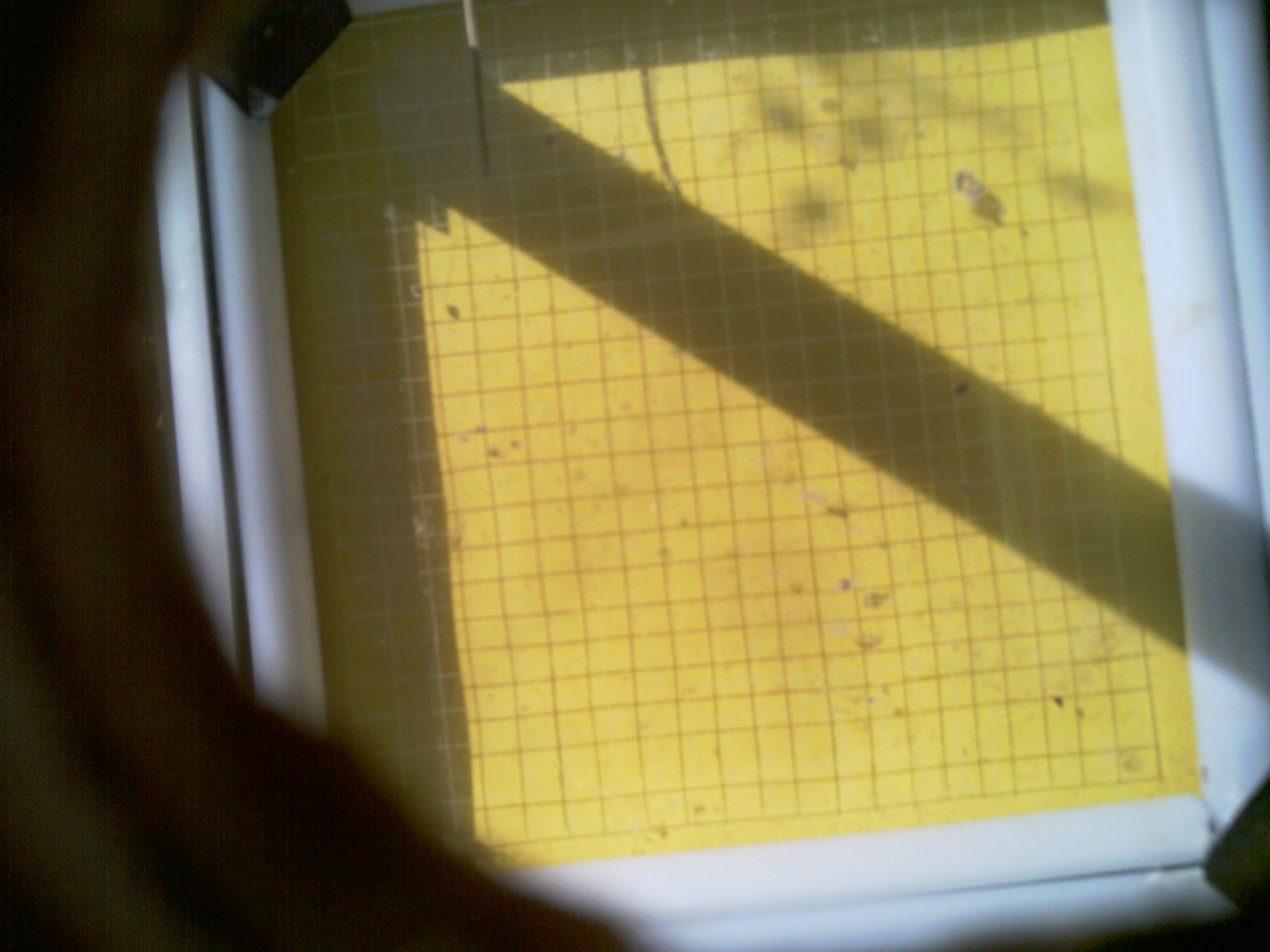 20260714_101224_UXGA_Q3.jpg